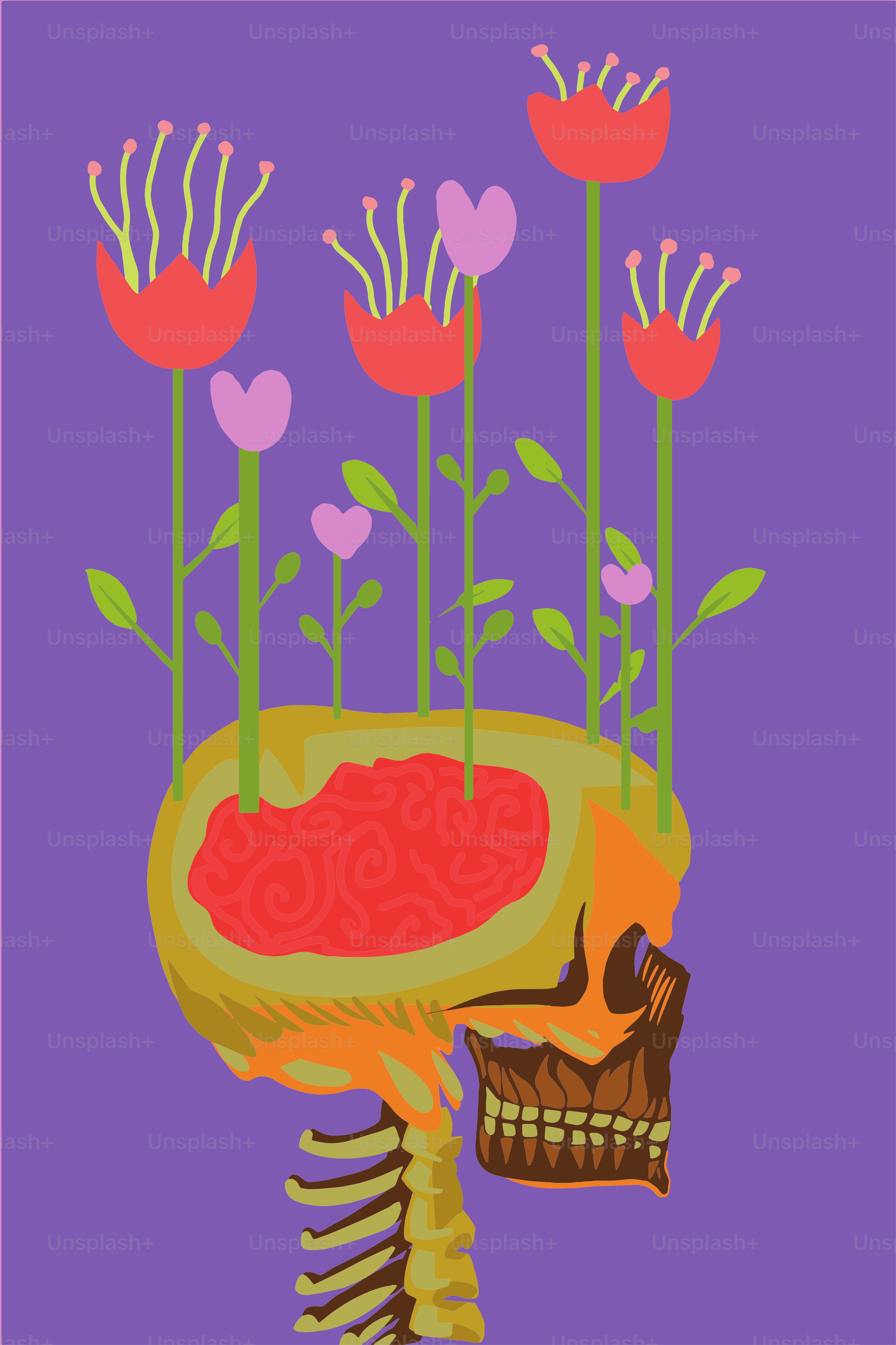Human skull with pink and red  flowers
