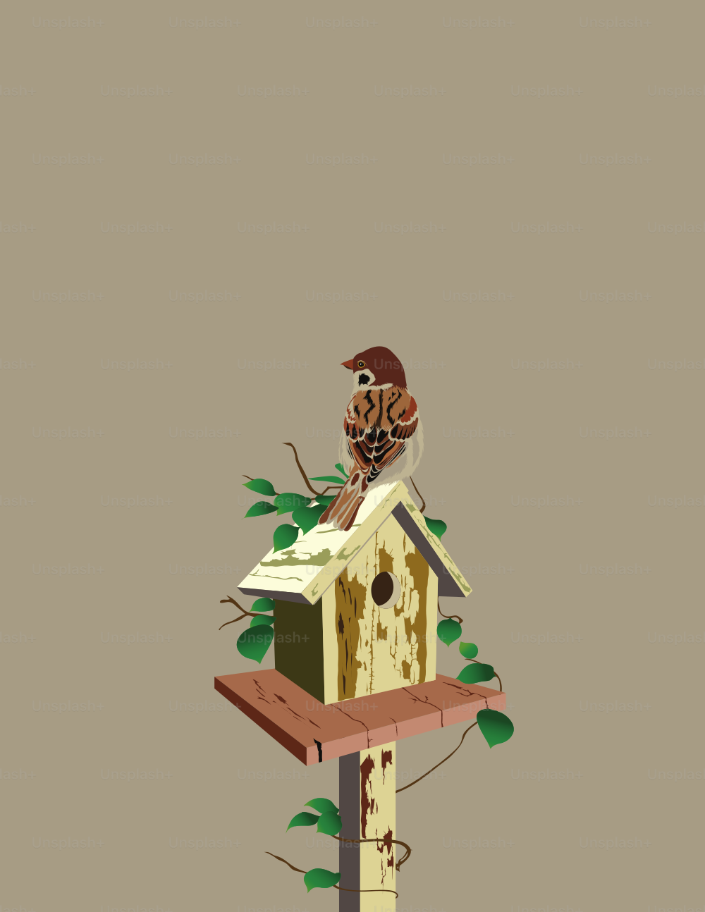 Sparrow is on the top of the bird house.