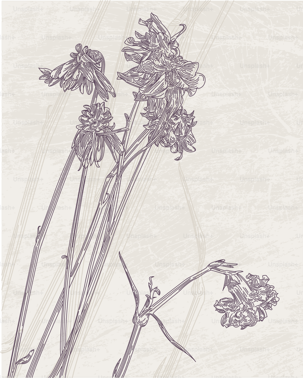 Un dibujo de estilo antiguo de unas flores secas y muertas.