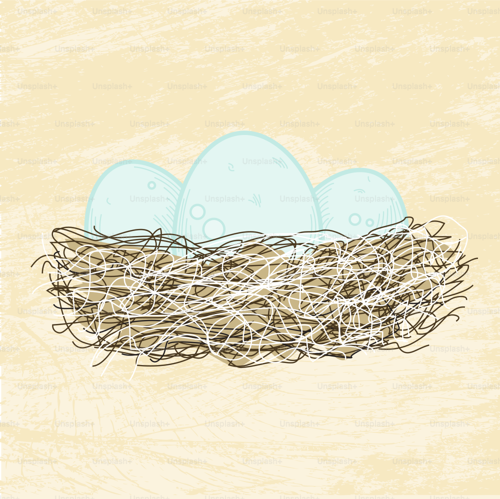 Robin eggs in a scribbly nest.