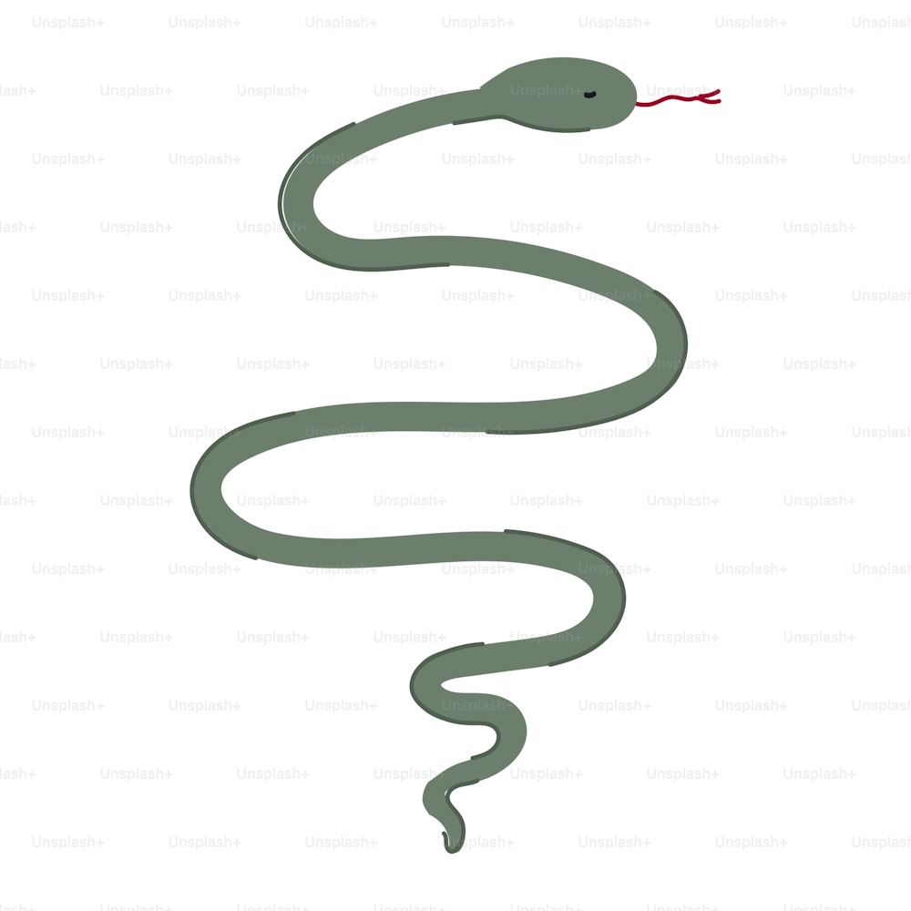 Cute cartoon style doodle snake. Isolated on white.