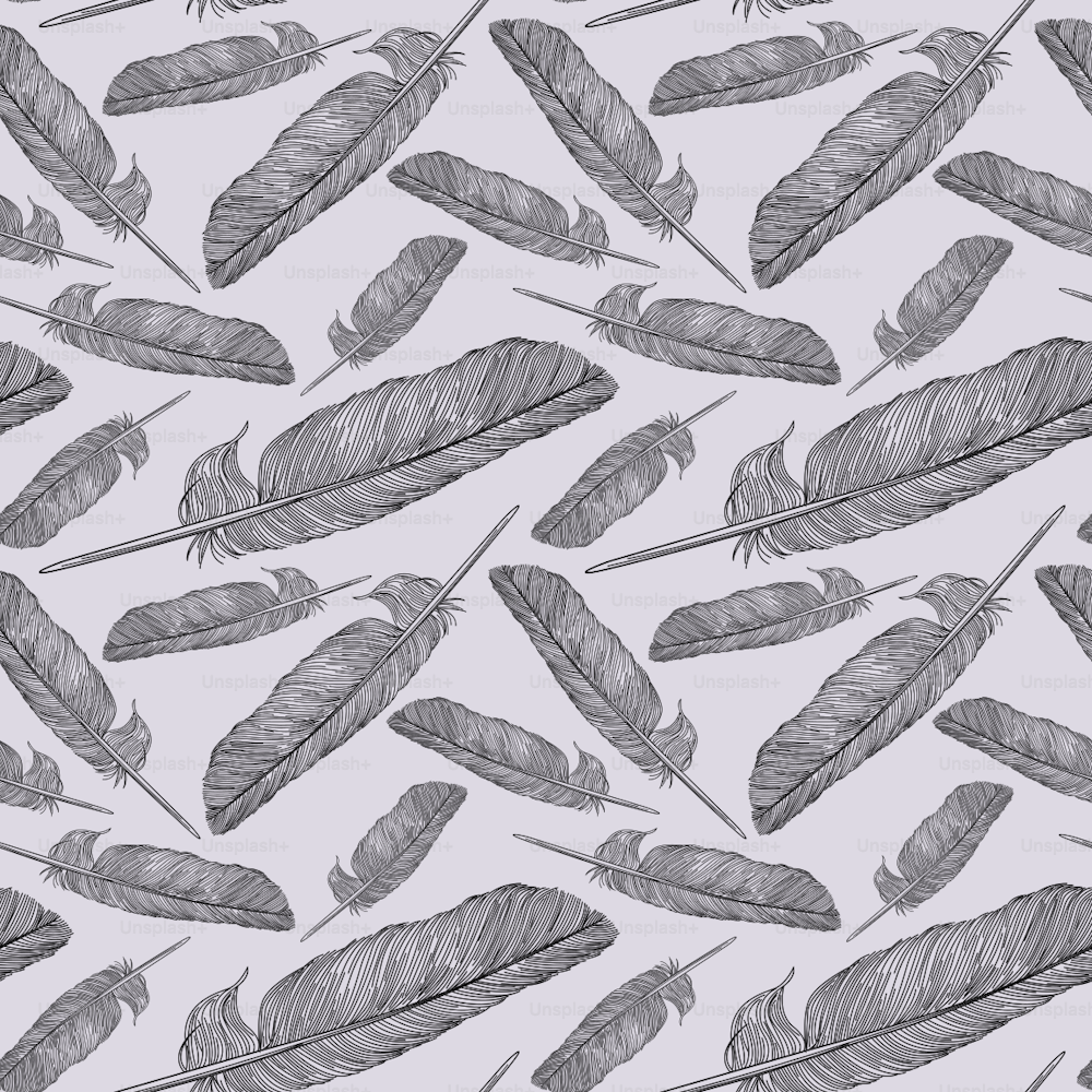 Patrón hecho a partir de ilustraciones lineales de plumas de paloma.