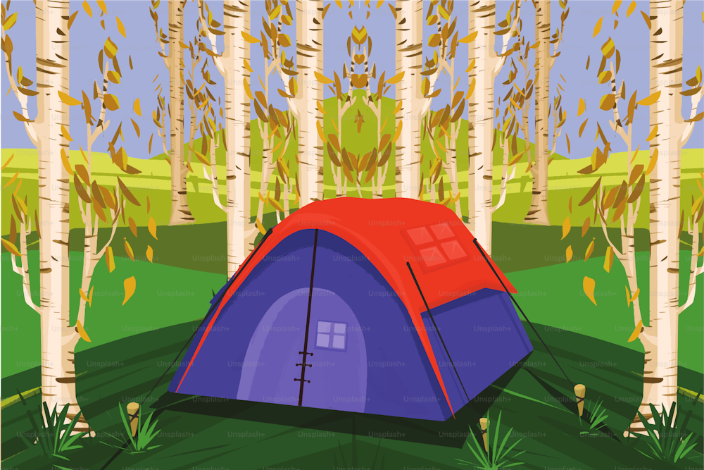 Camping in nature landscape