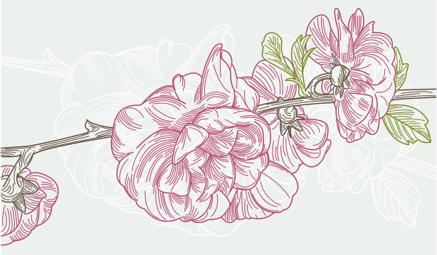 いくつかのピンク色の線画の花が枝に沿って咲いています。