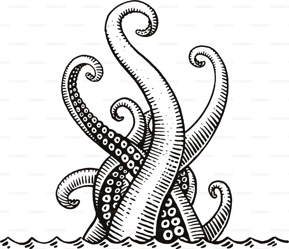 Old style illustration of a sea monster