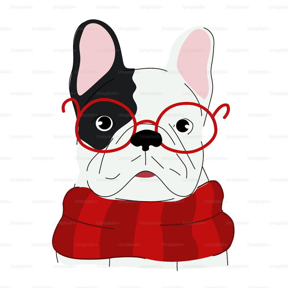 Cute french bulldog wearing a red scarf and glasses. Flat vector illustration. Isolated on white. Christmas character.