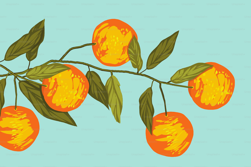 Orange tree with fruits and leaves