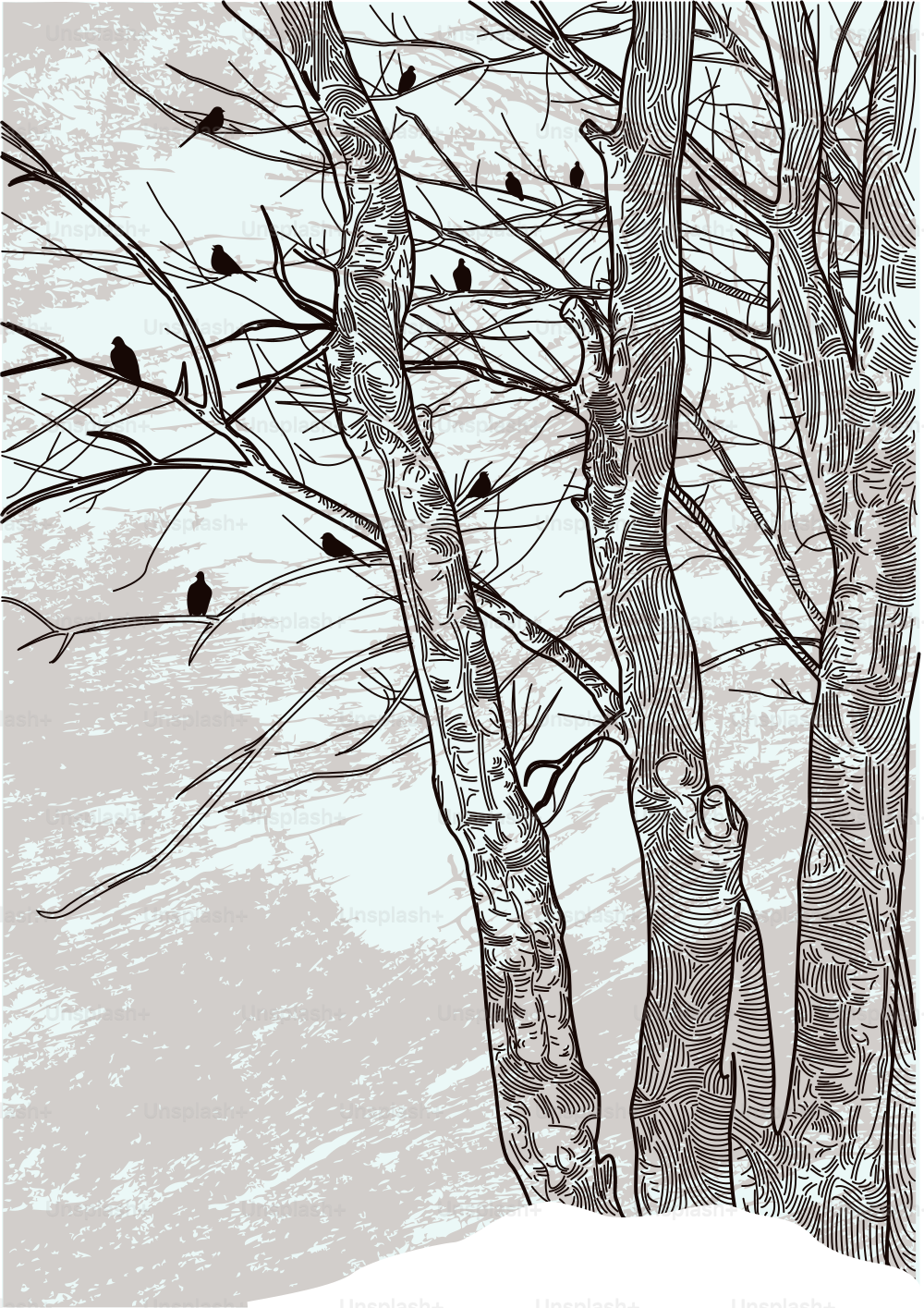 Un'illustrazione aggiornata di alcuni alberi invernali sterili.