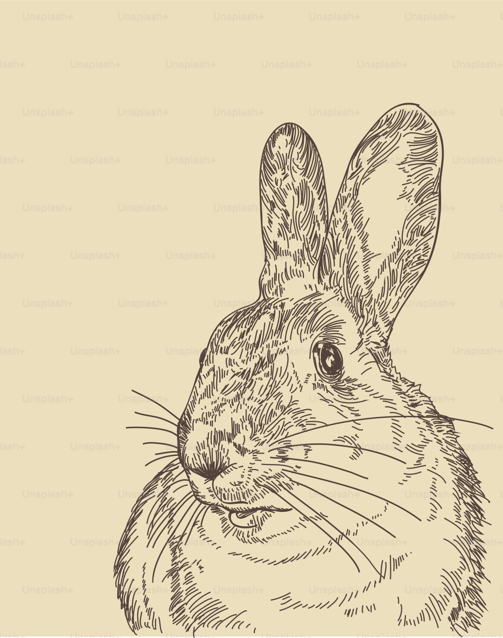 Line artwork of a rabbit on an antique coloured background. Separated to layers, easy to remove