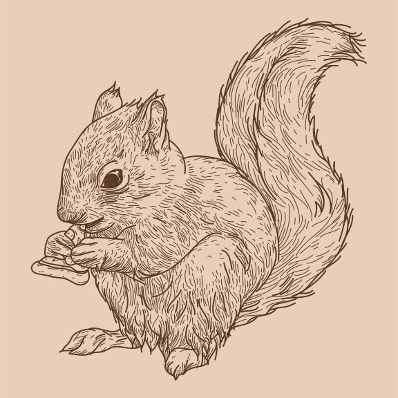 Even squirrels love pizza! Separated to layers, easy to remove