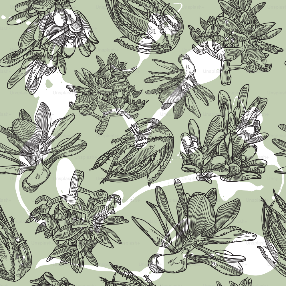 Repeating pattern of line artwork succulents on a splashy background. Global colours, easy to change and remove background!
