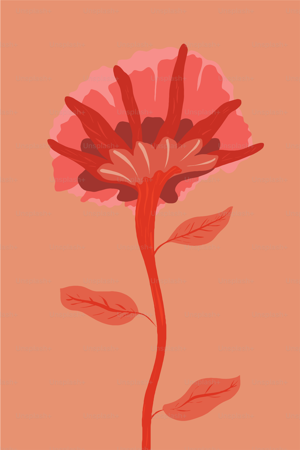 Flower isolated on peach background