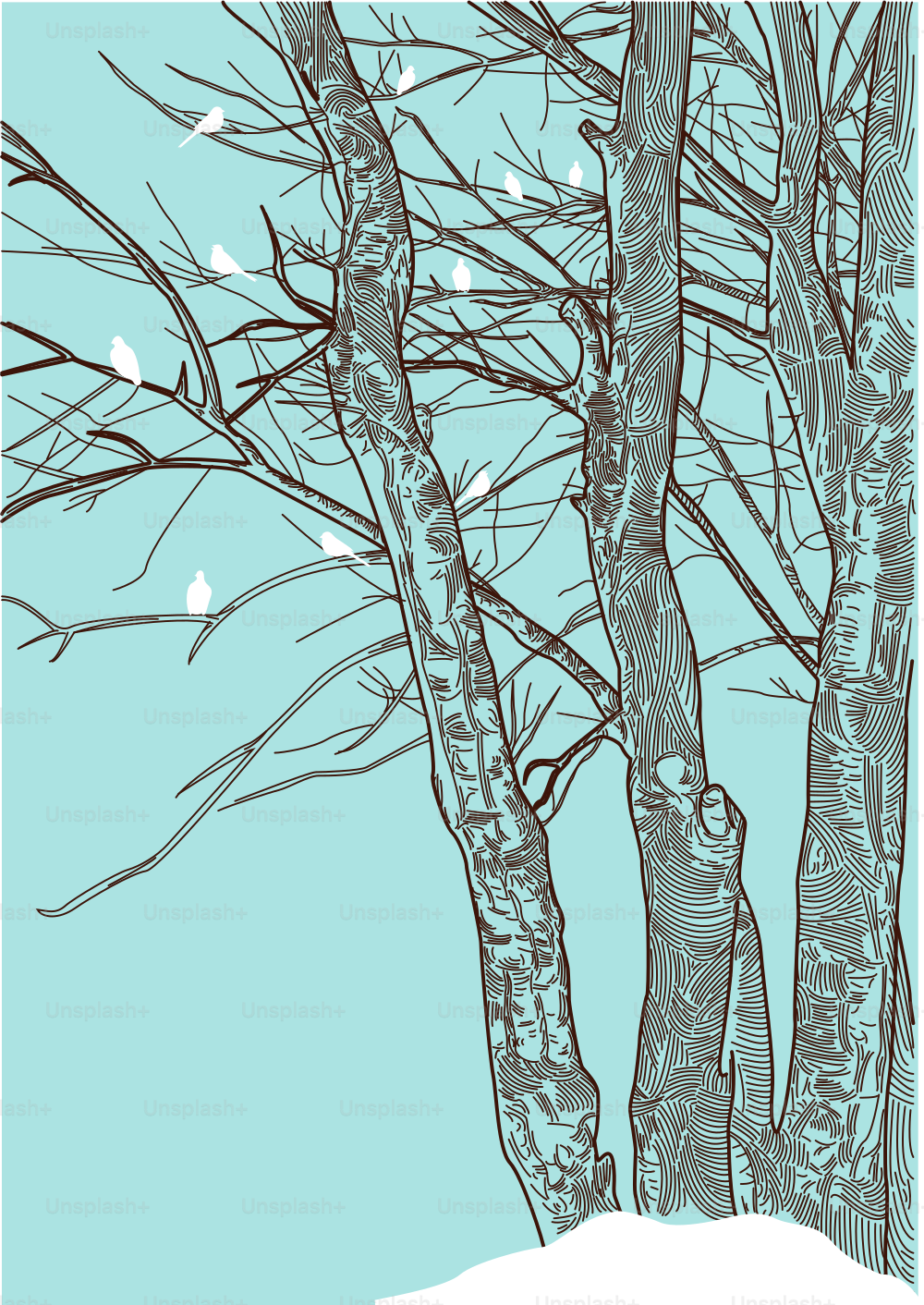 Los árboles despojados y estoicos proporcionan un punto de descanso para las aves invernales.