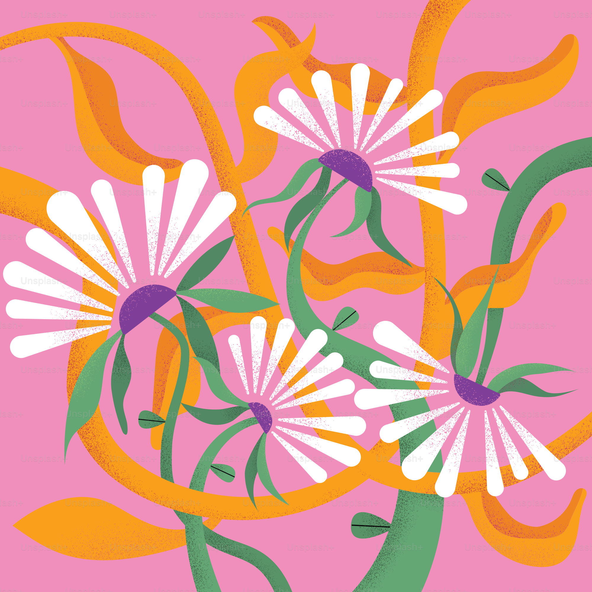 A bouquet of flowers on a pink background vector – Daisy Image on Unsplash