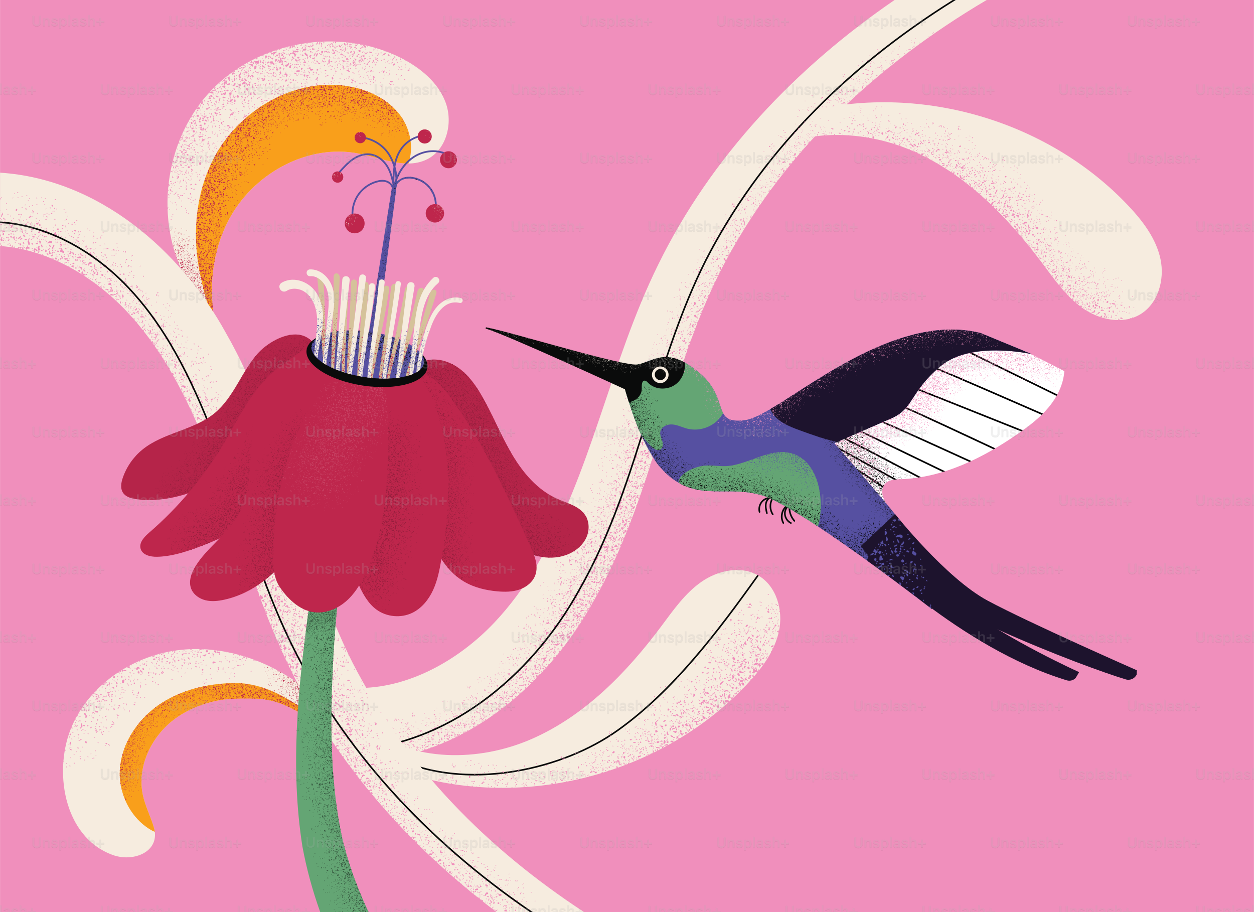 Hummingbird feeding from a stylized flower on pink background