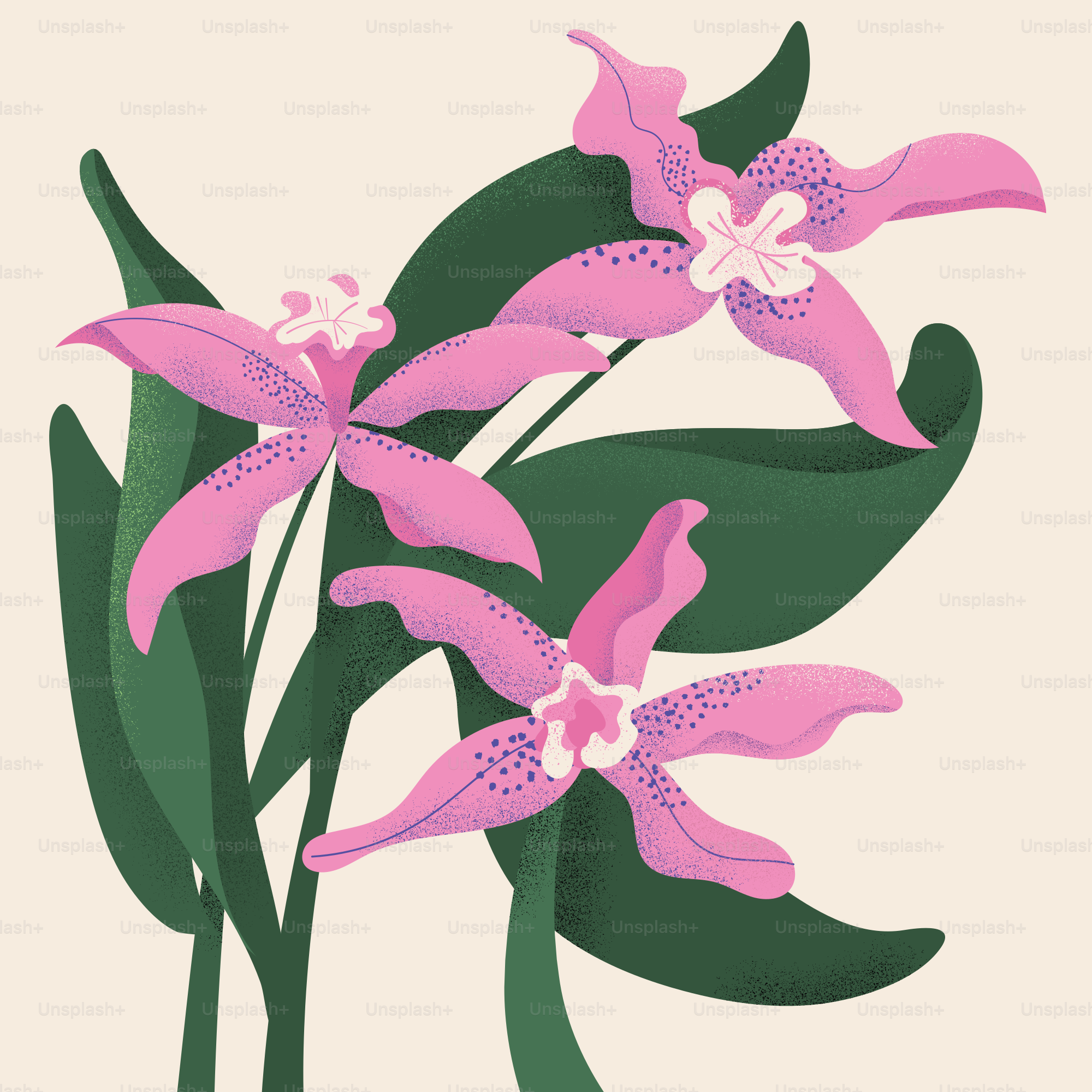 Tres orquídeas rosas con hojas verdes sobre fondo crema