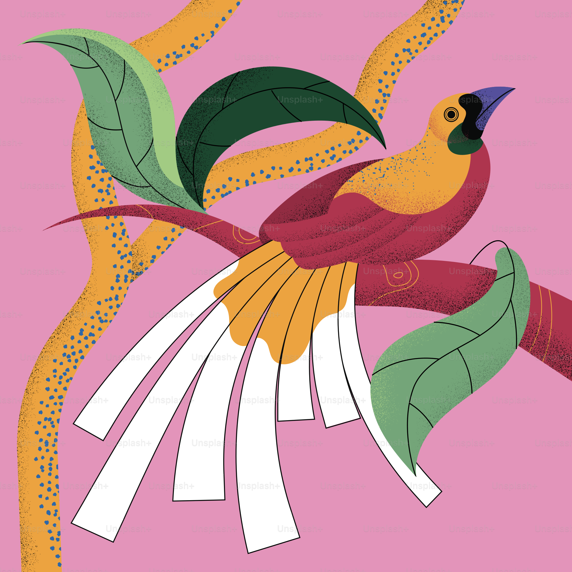 A colorful bird with long tail feathers on a branch.