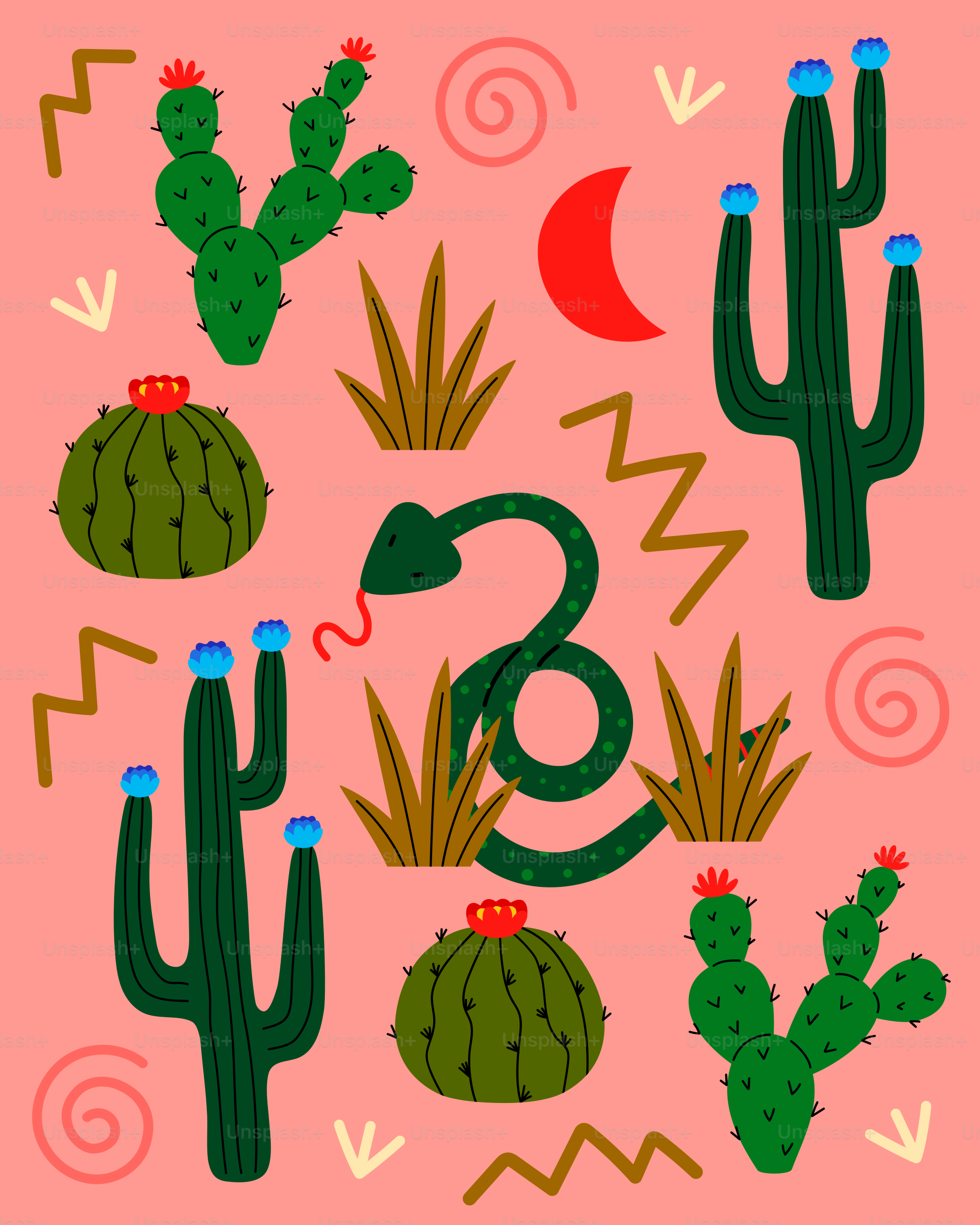 A pink background with a cactus and other plants