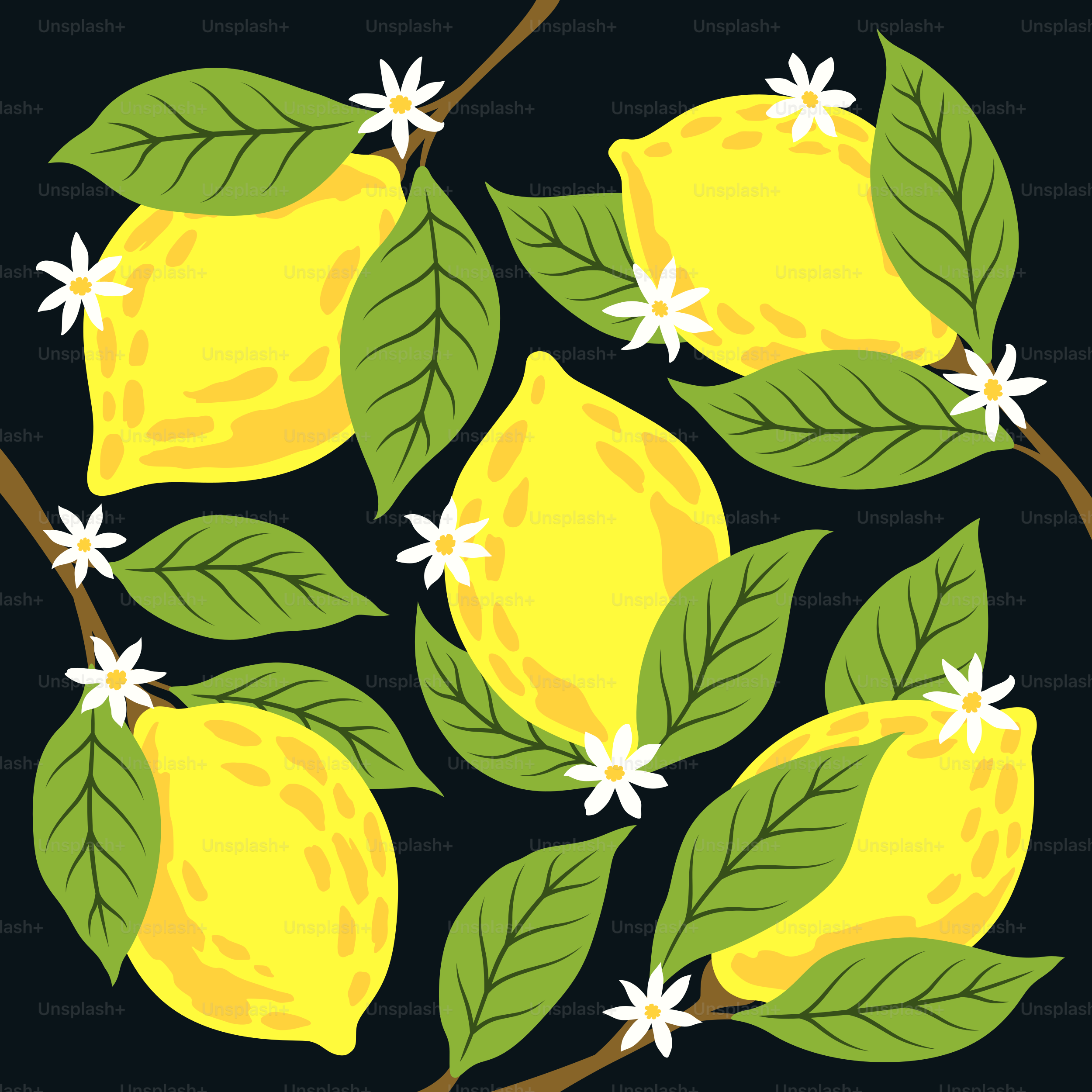 Lemons, leaves, and flowers on a dark background.