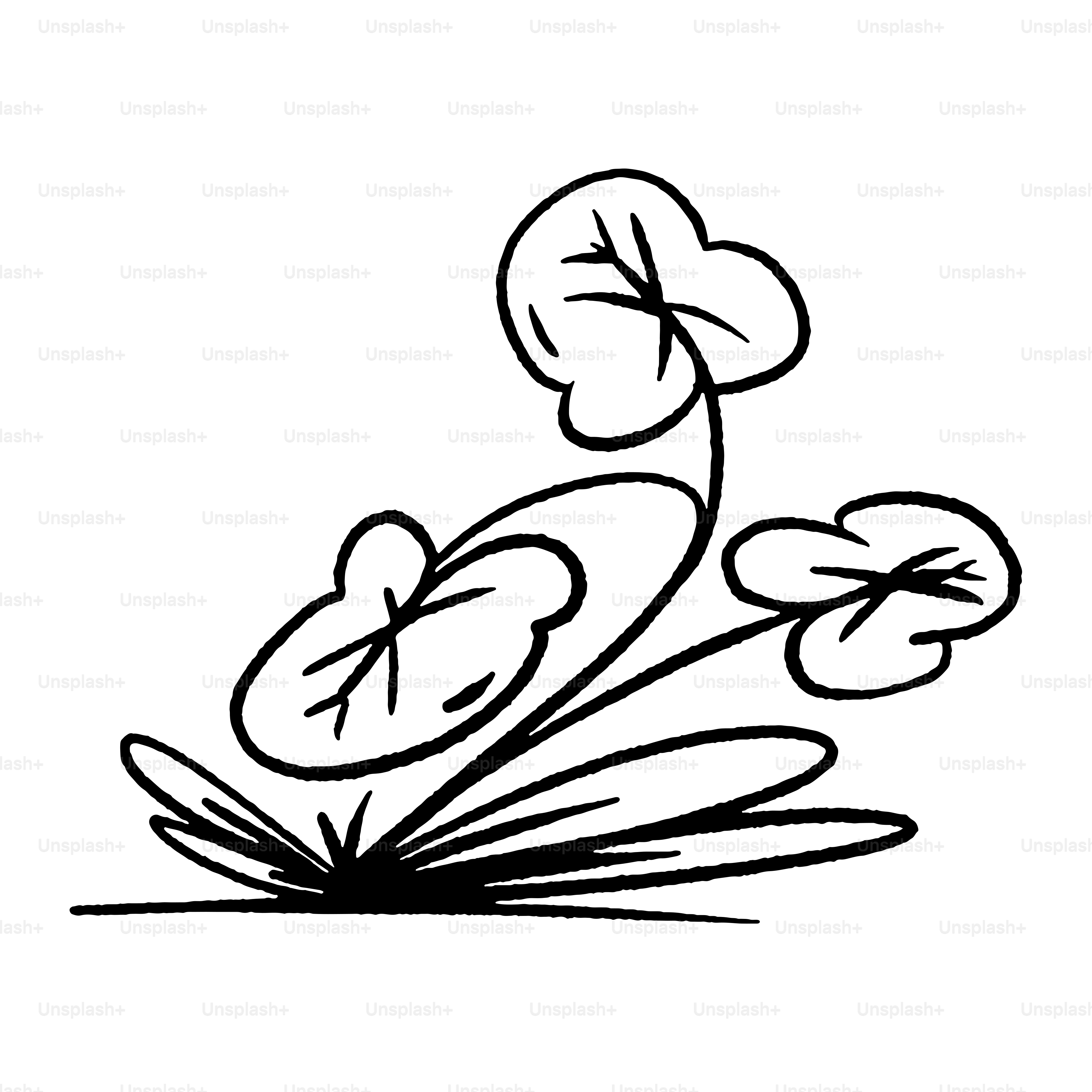 A stylized drawing of a plant with round leaves.