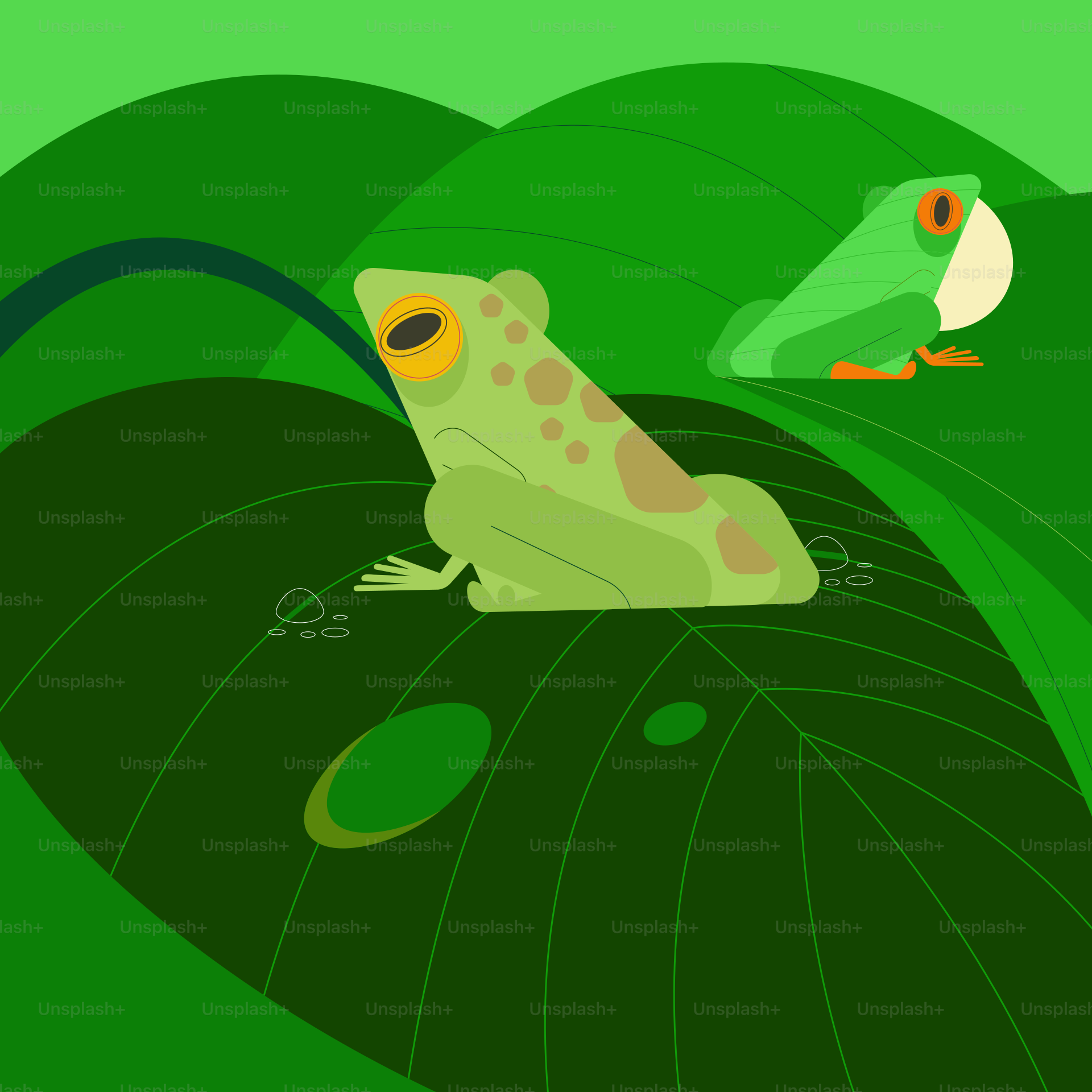 Deux grenouilles vertes sur de grandes feuilles vertes