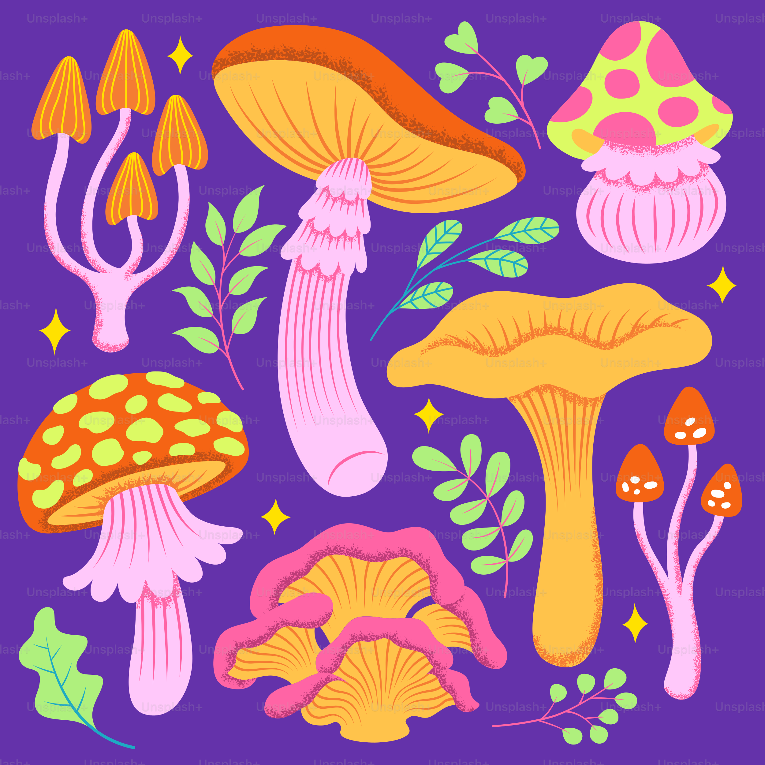Colorful mushrooms and foliage are arranged on a purple background.
