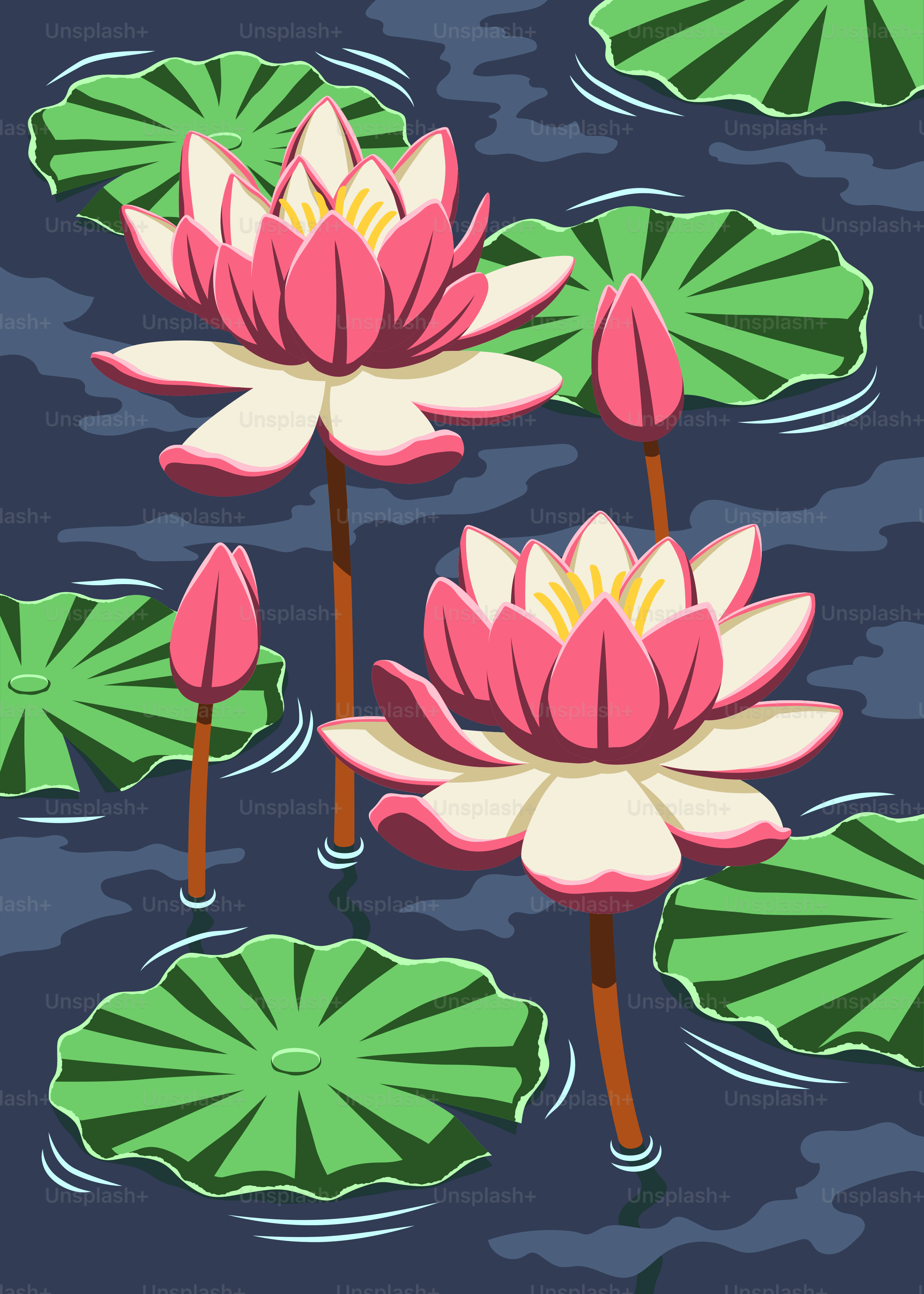 분홍색 수련이 짙은 파란색 연못 위에 떠 있습니다. 벡터 – Unsplash의 무료 꽃 이미지, image size:3000x4200