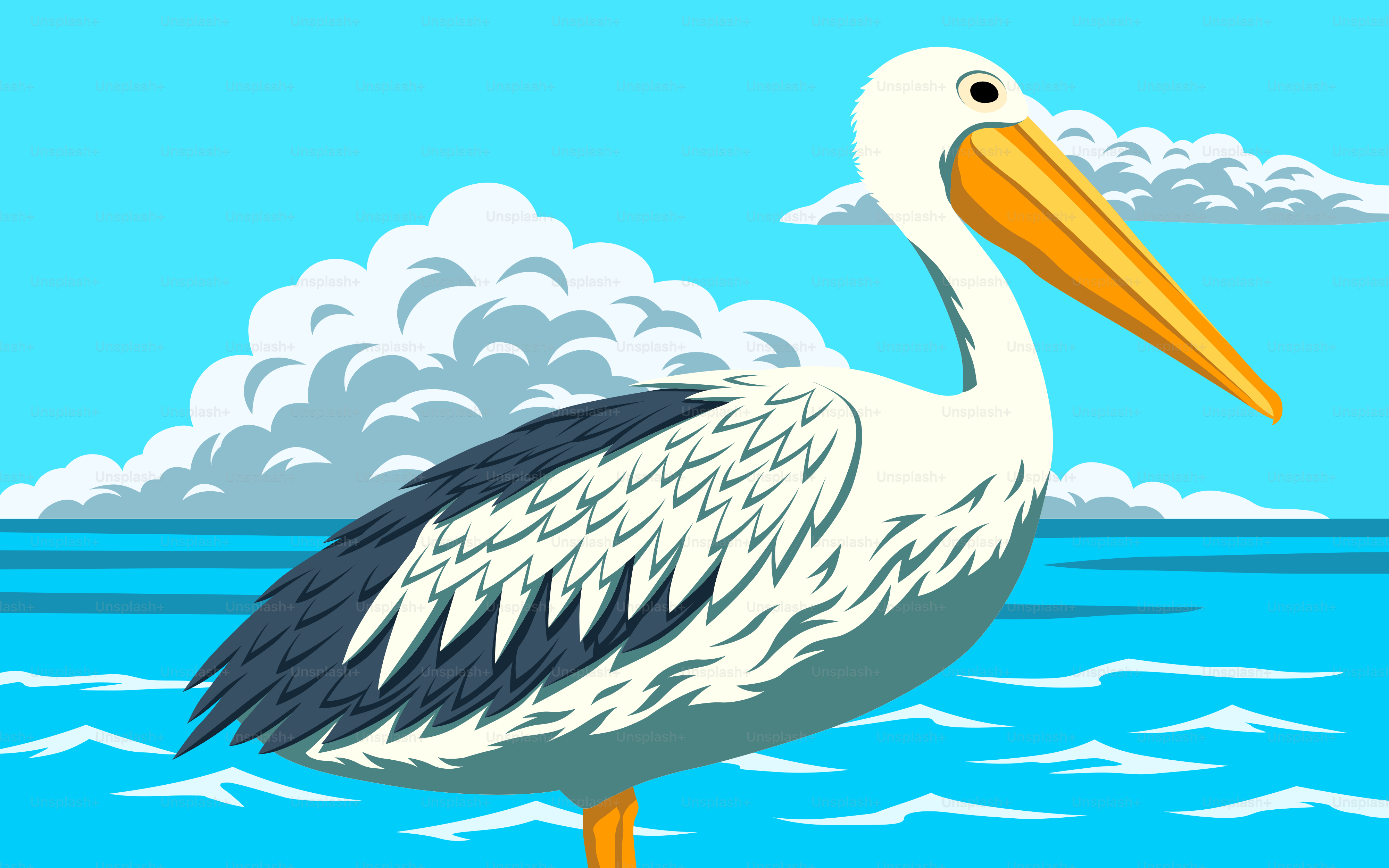 A white pelican stands near the water under clouds.