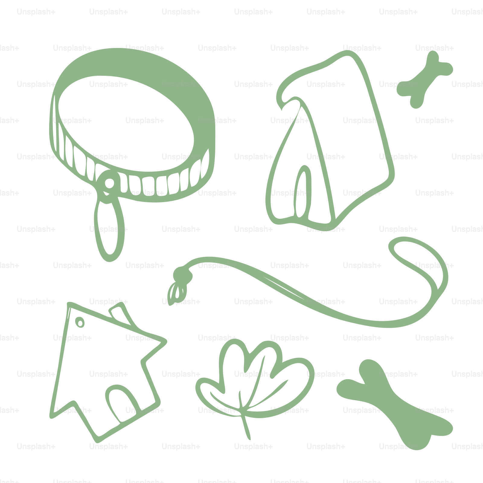 Dog collar, leash, house, tent, leaf, and bones.