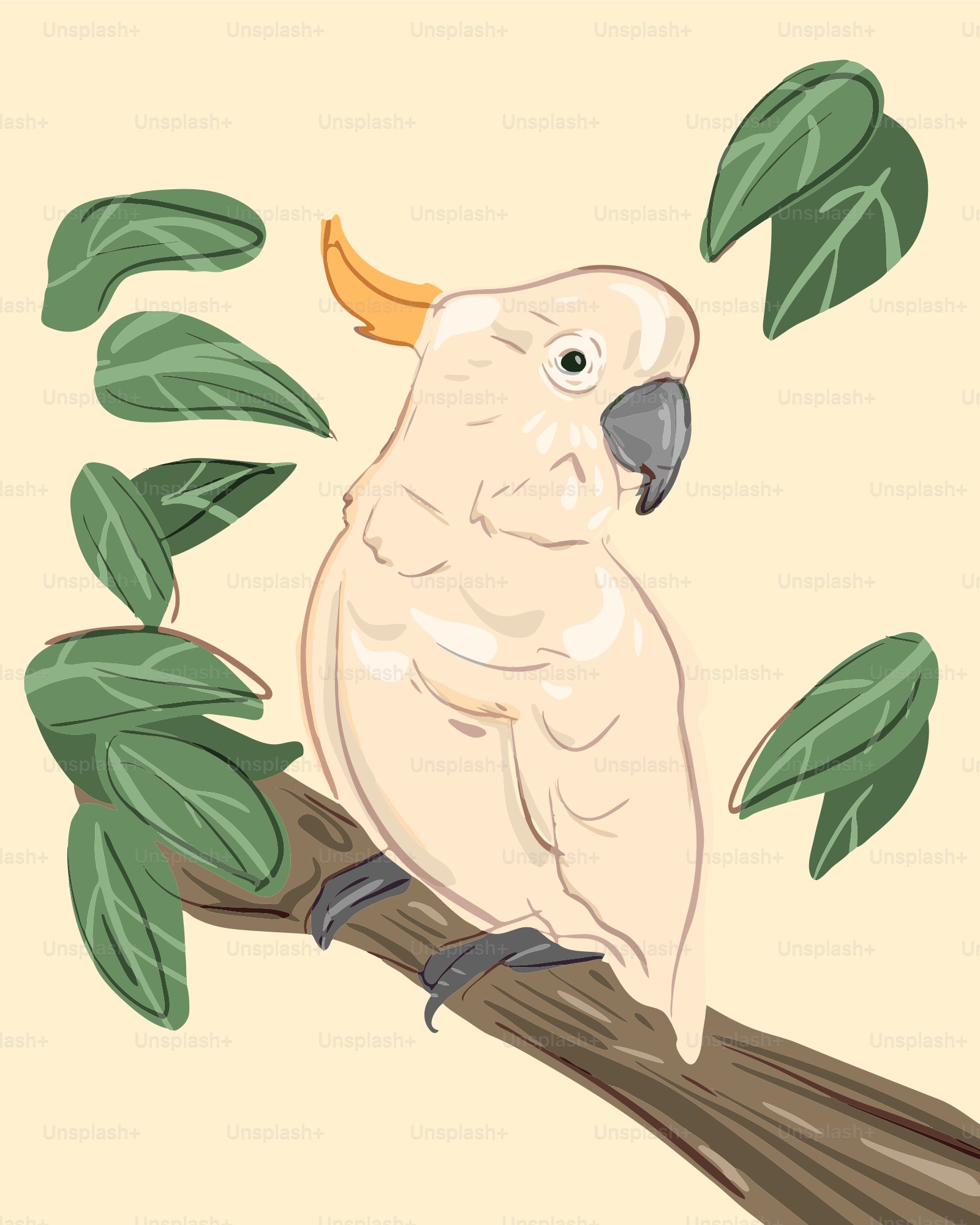 A light-colored cockatoo perched on a branch with leaves.
