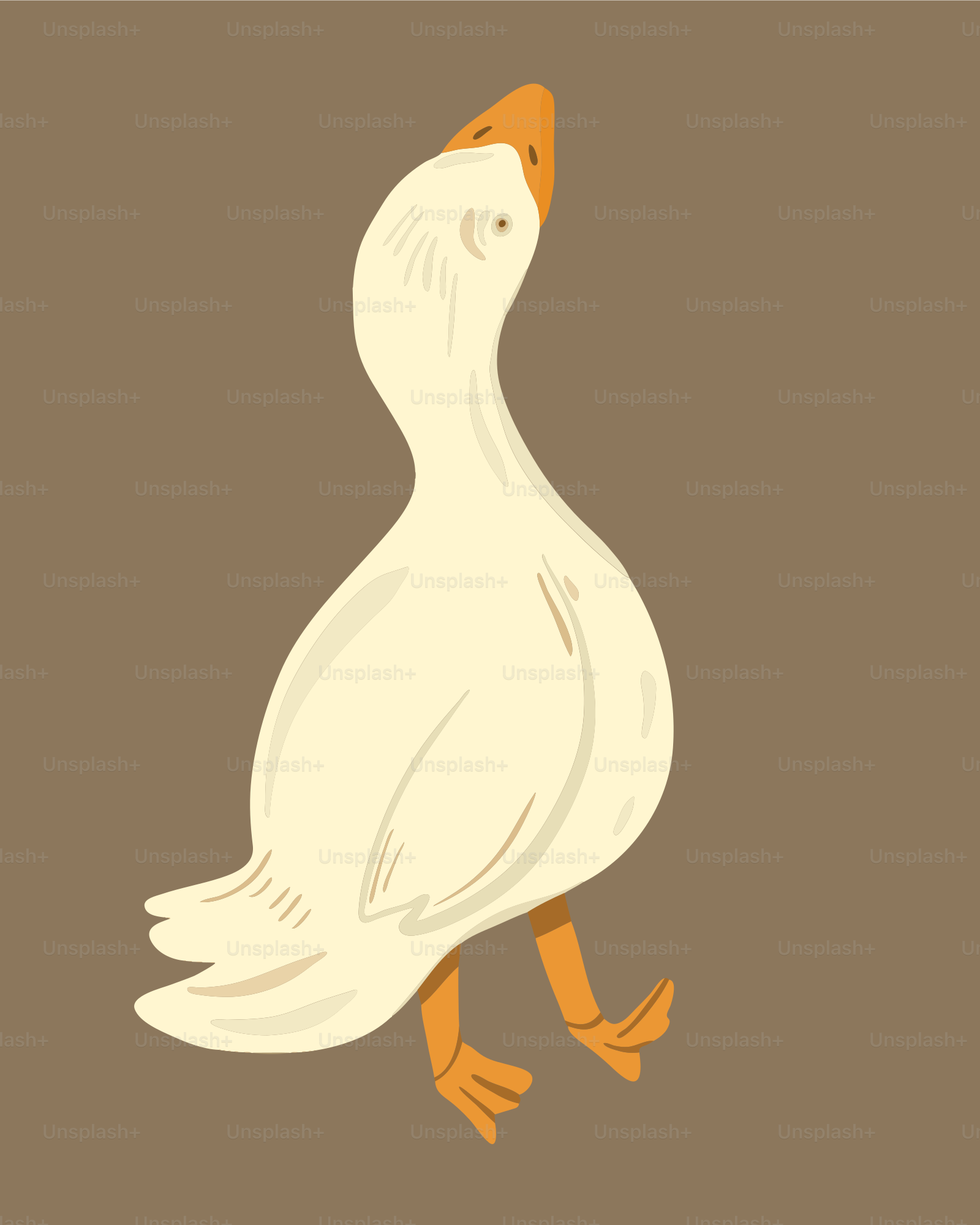 Eine weiße Gans läuft mit erhobenem Kopf.