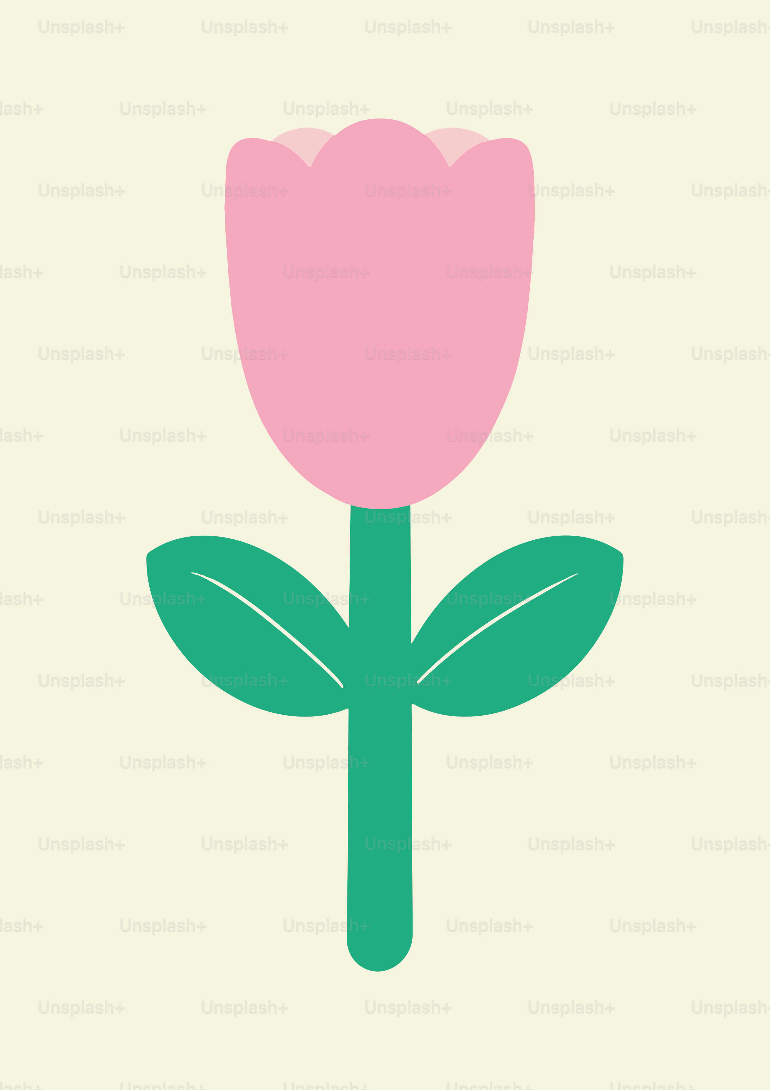 A simple pink tulip on a cream background