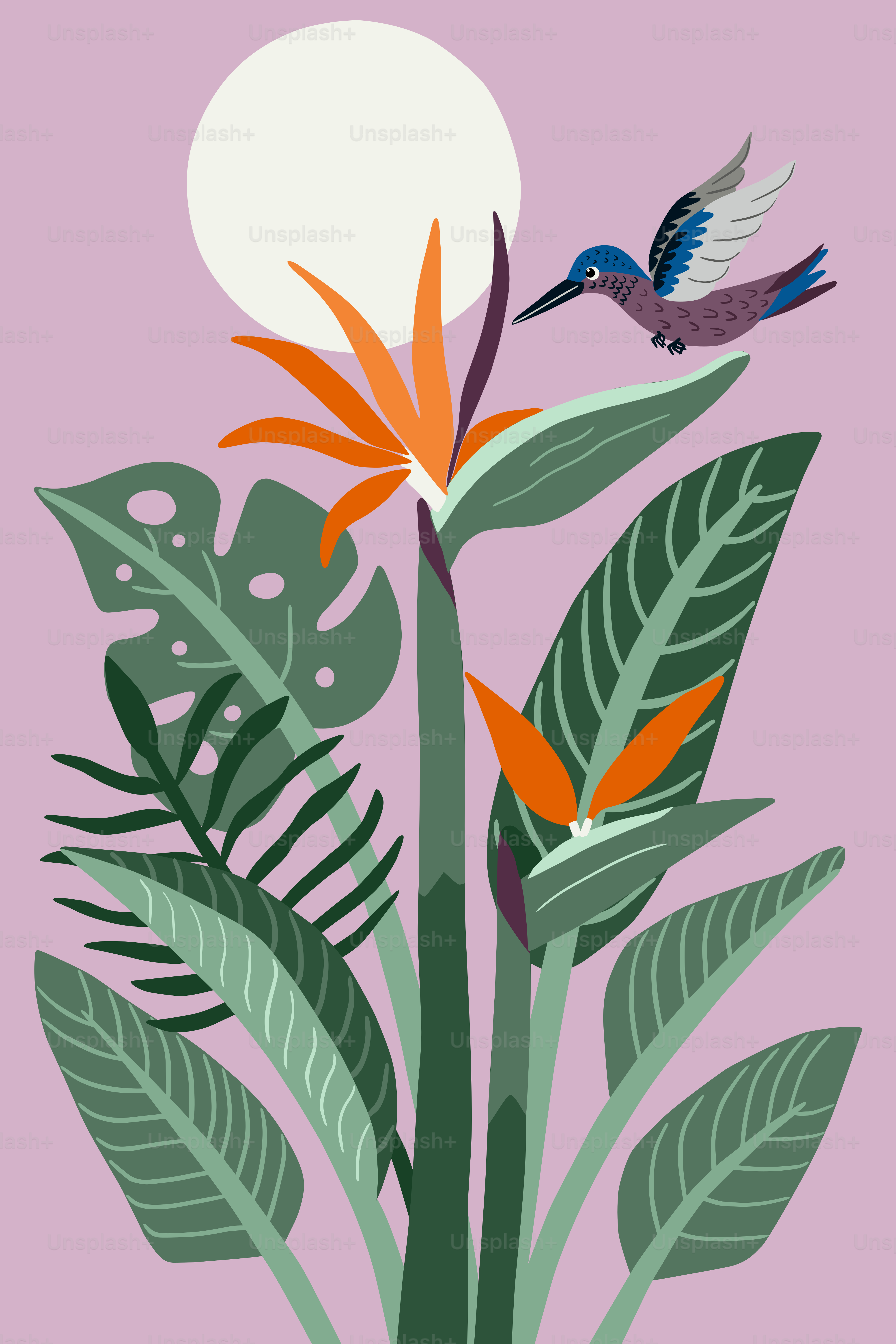 Hummingbird flies near tropical flowers and large leaves.