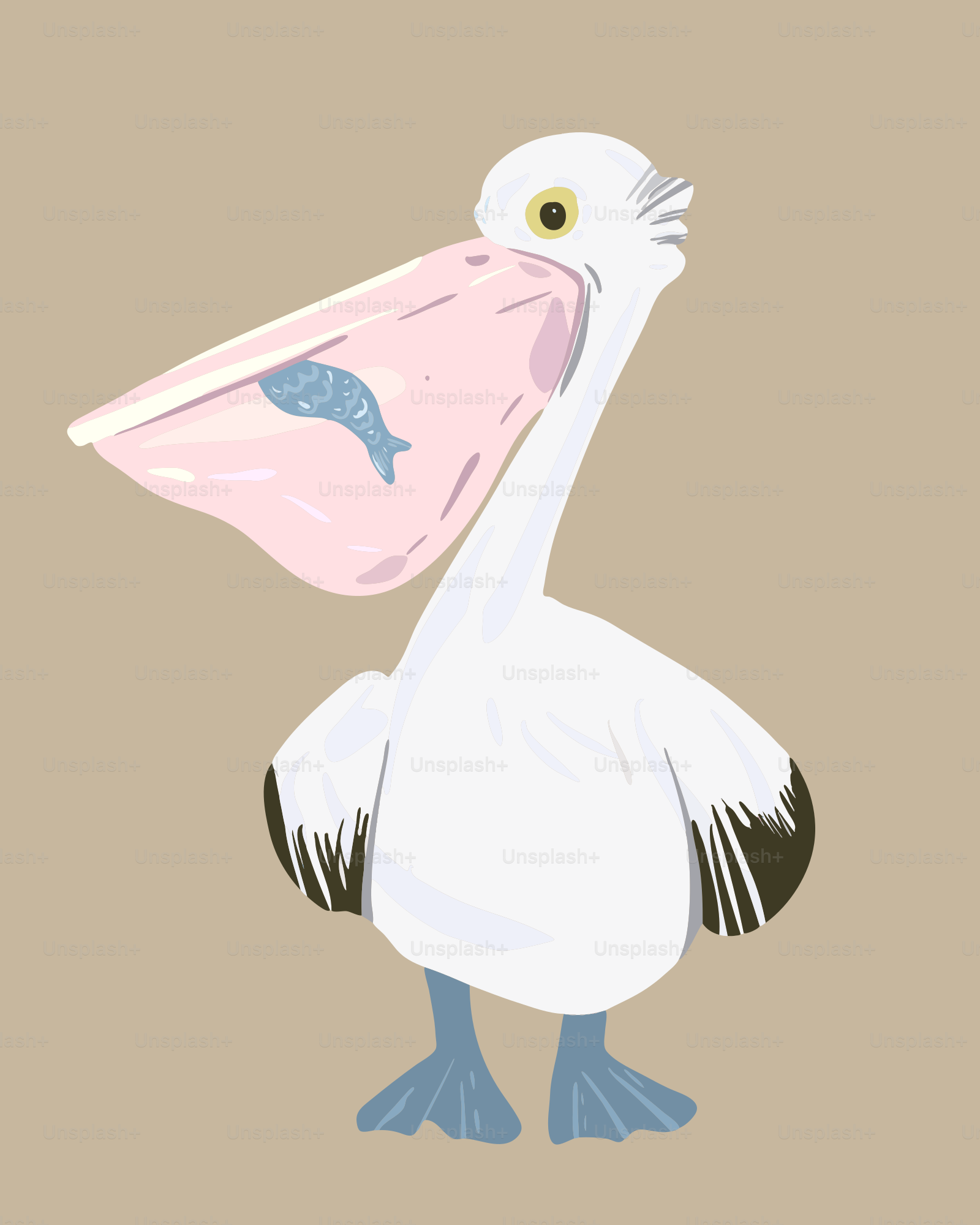 A white pelican with a fish in its beak