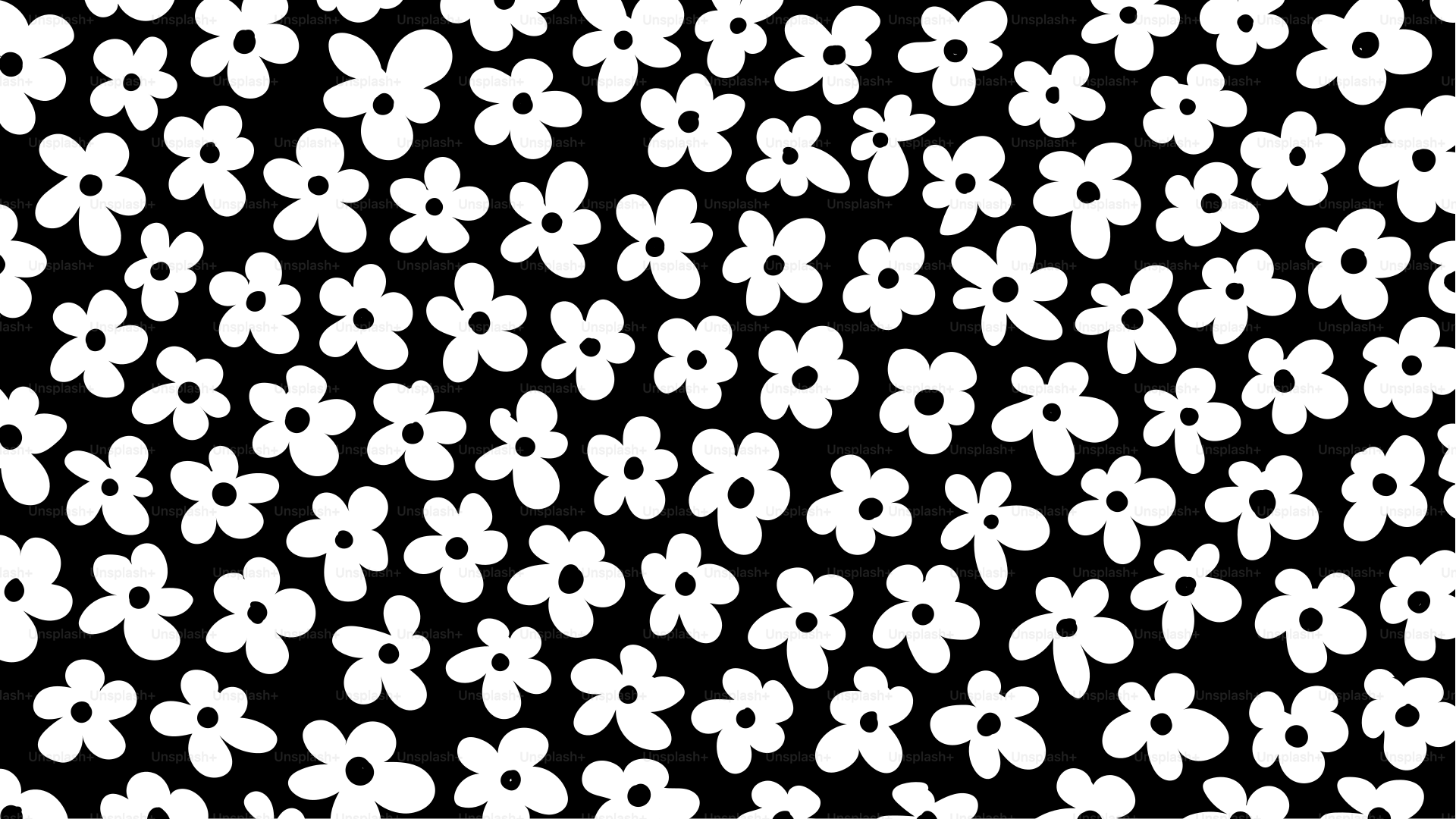 A black and white photo of a bunch of flowers