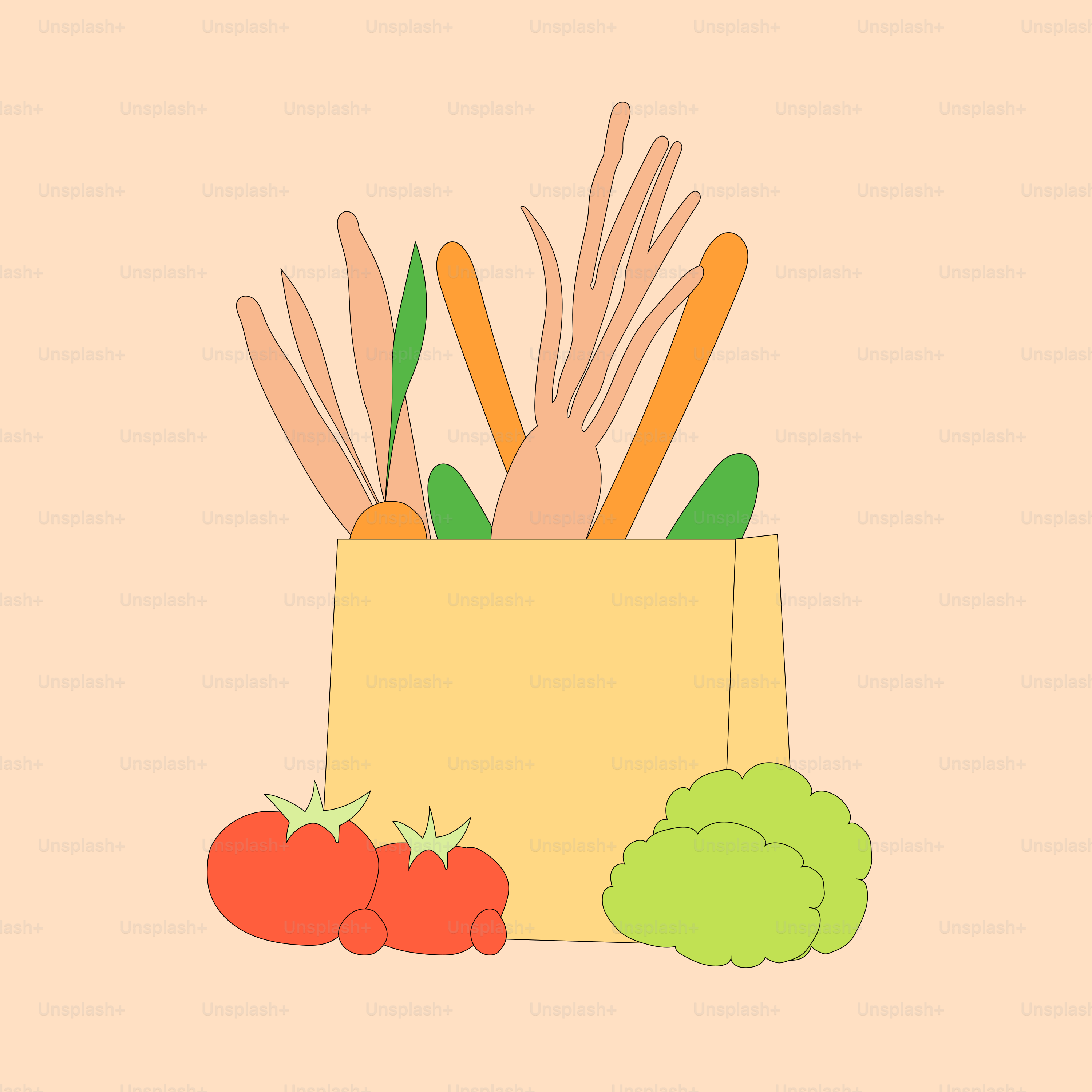 Bag of fresh vegetables and tomatoes