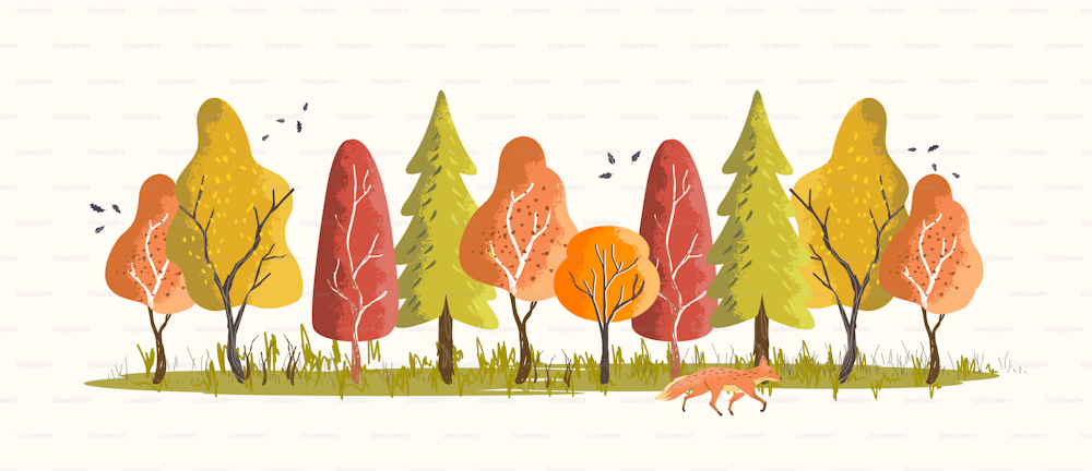 Bosco boschivo in autunno con alberi e foglie colorate. illustrazione vettoriale.