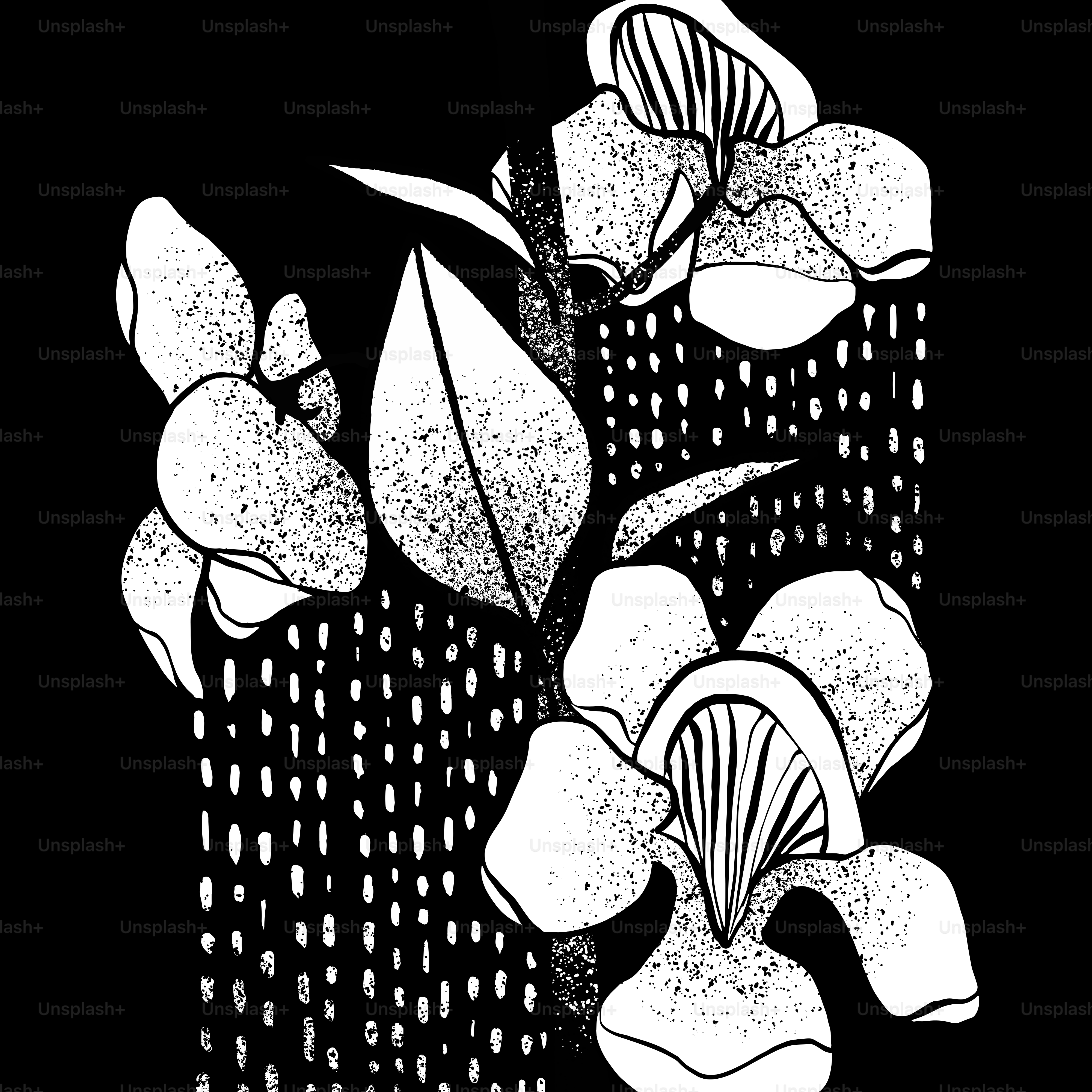 Ilustrasi bunga hitam putih bergaya dengan pola putus-putus