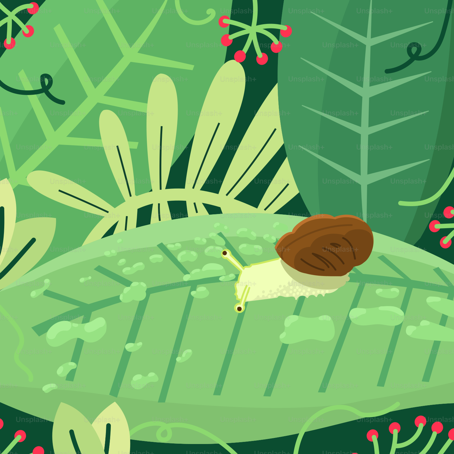 Eine Schnecke kriecht über ein großes grünes Blatt.