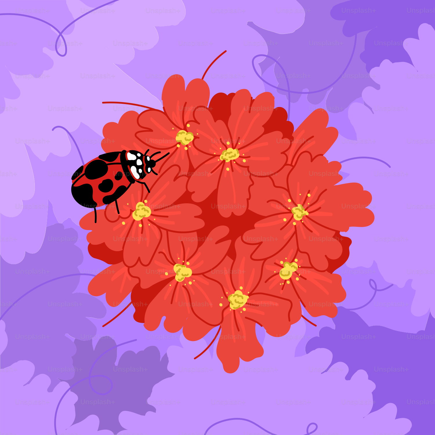 A ladybug crawls on a cluster of red flowers.