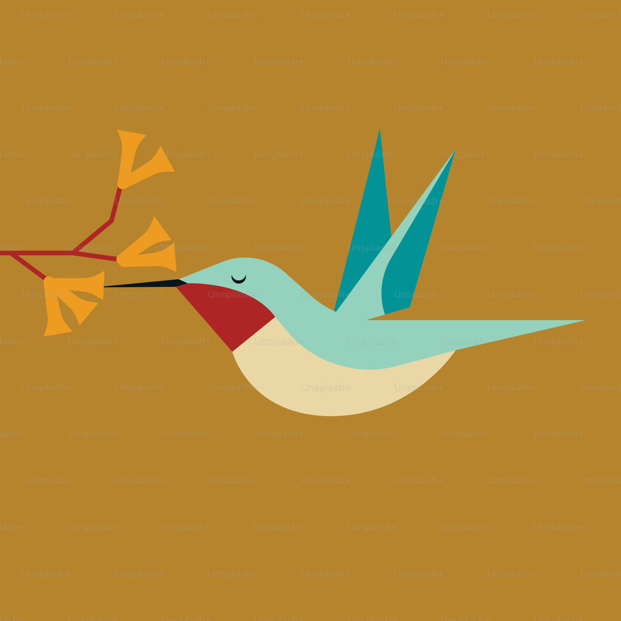 What Birding Taught Me: Lessons From a First-Year Birdwatcher