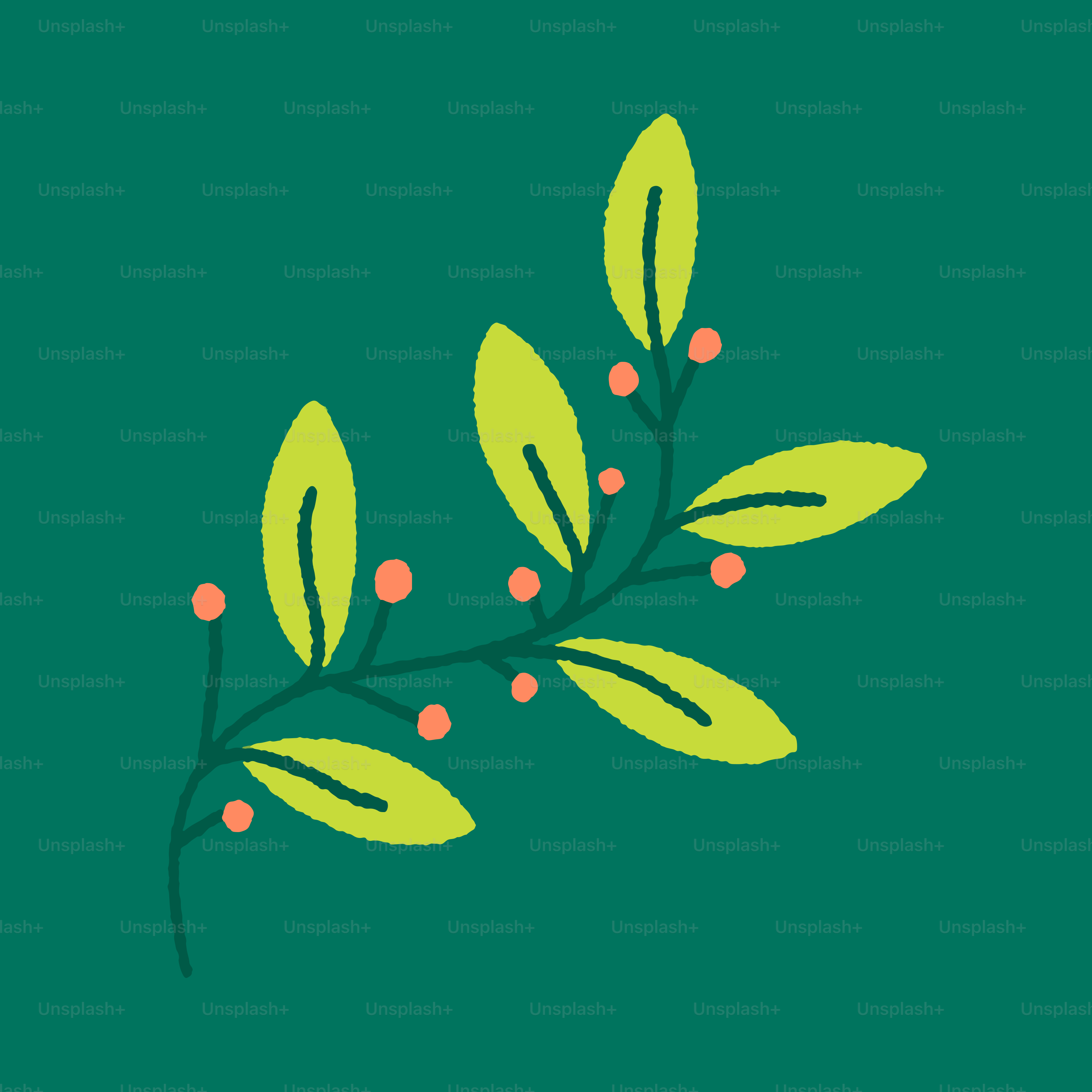A green sprig with small orange berries.