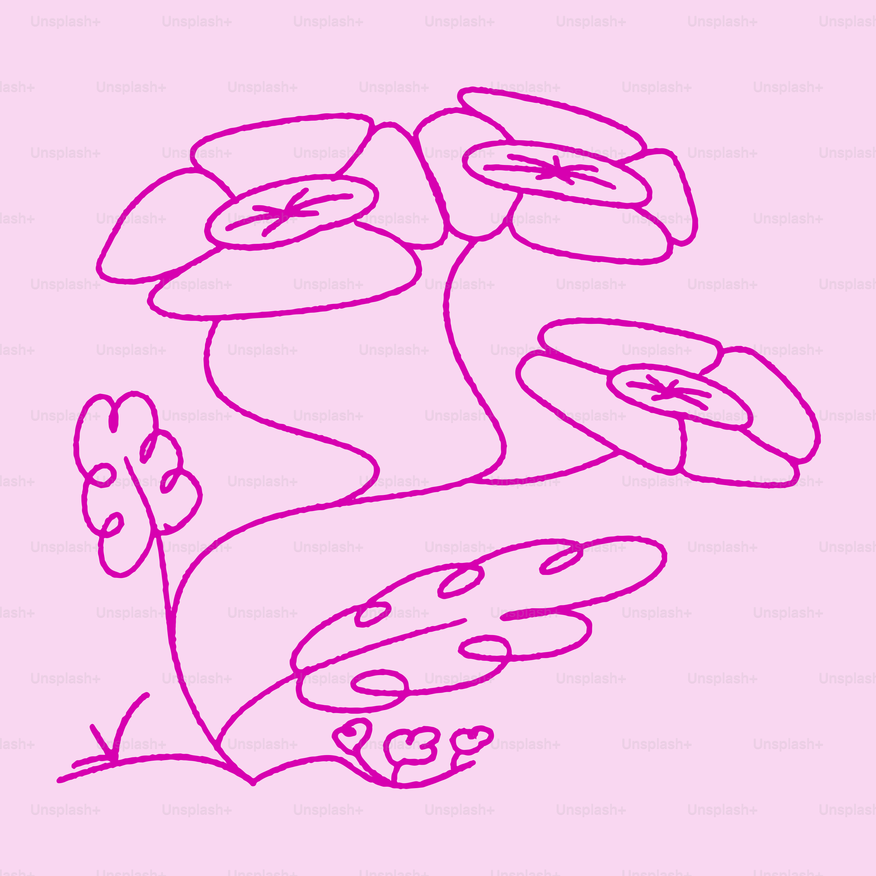 Pink line drawing of flowers on a pink background.