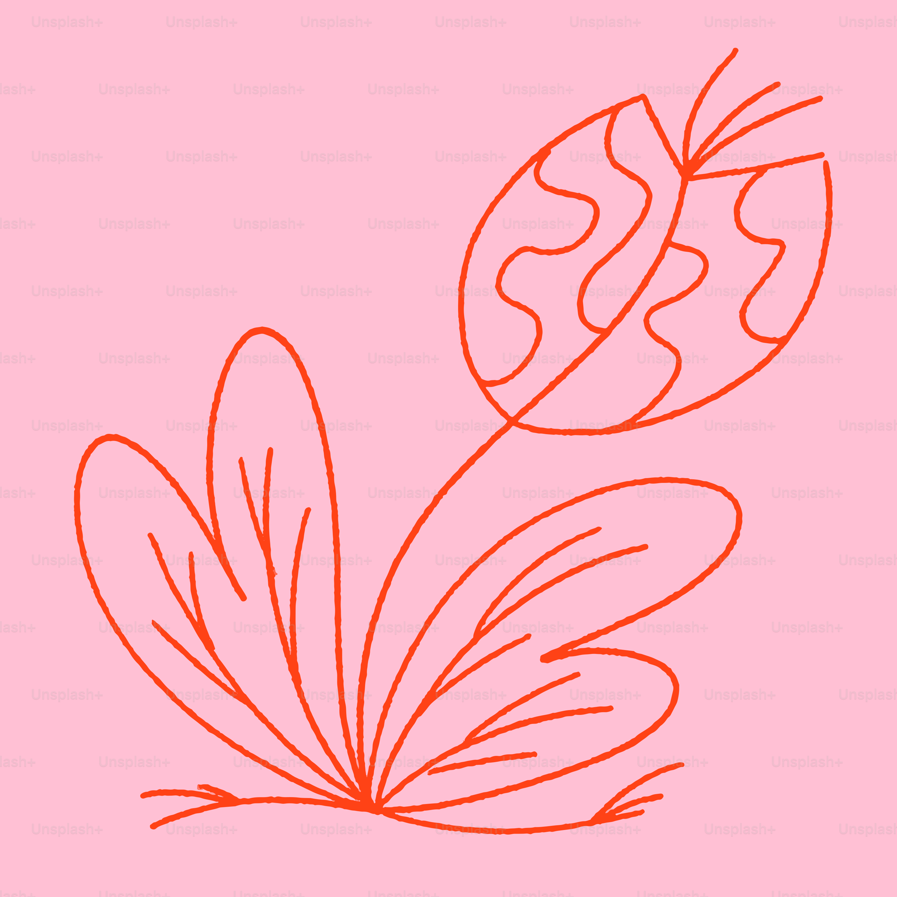 Red line art of a flower on pink background