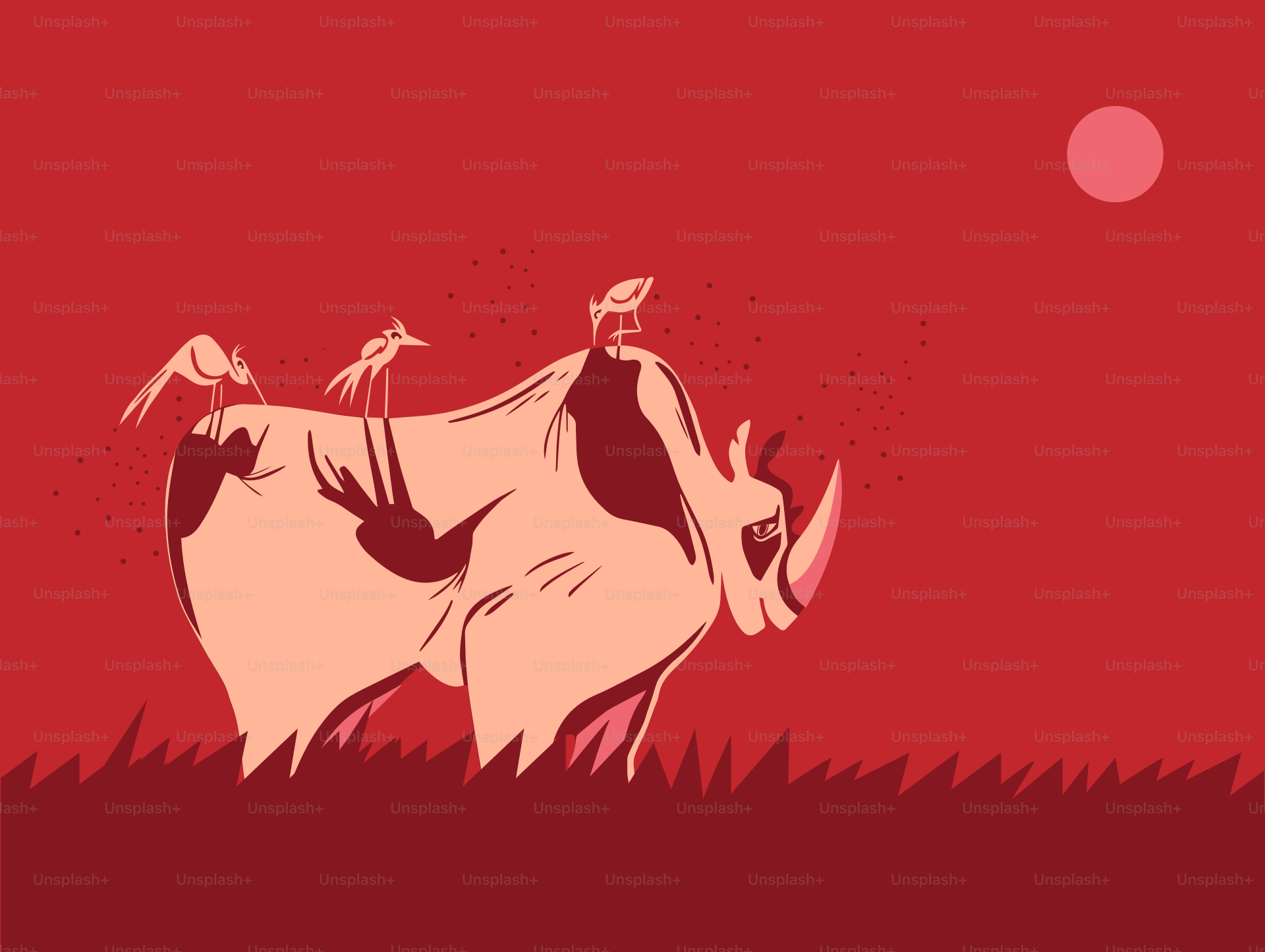a picture of a cow with birds on its back