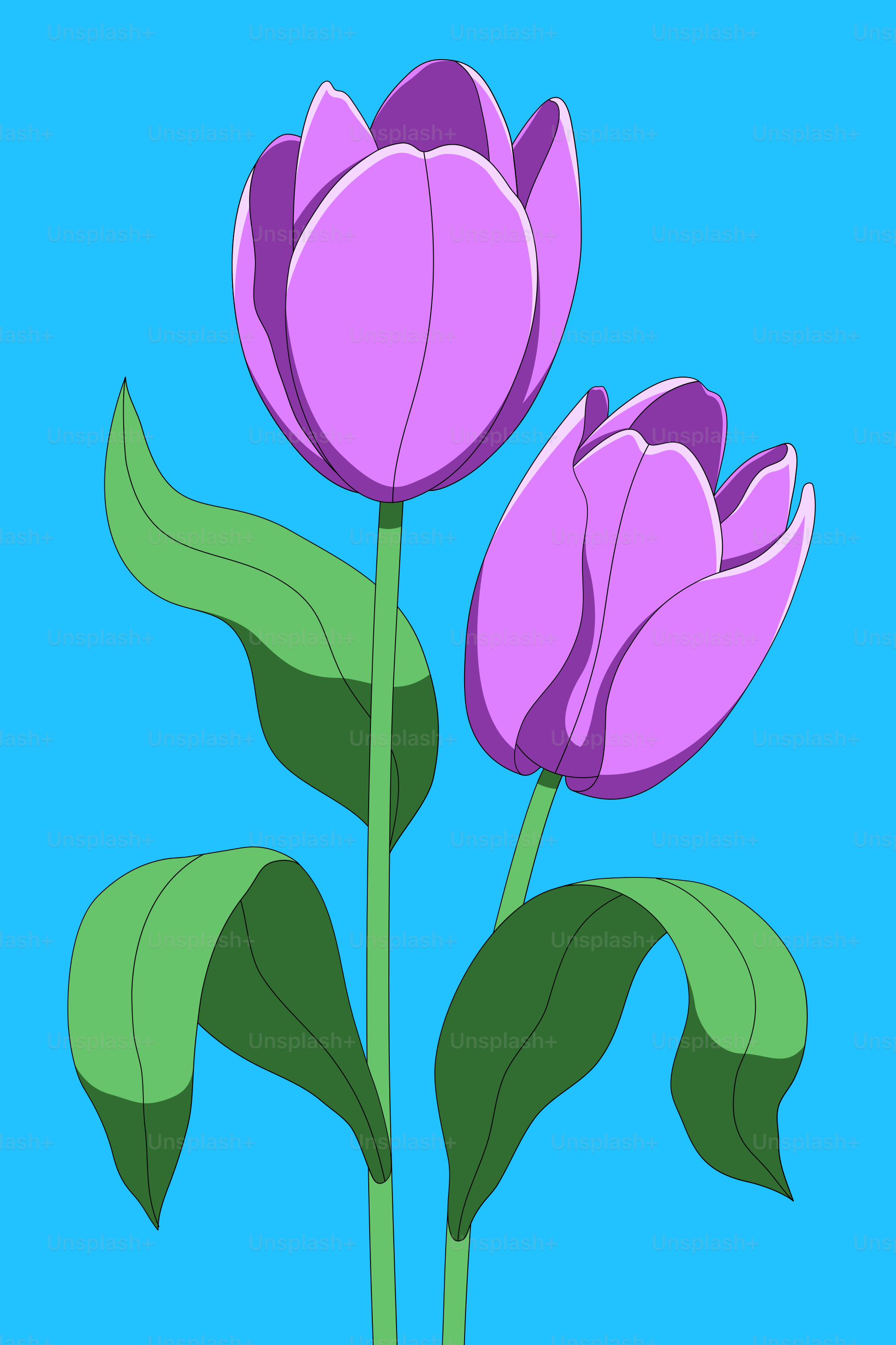 two purple flowers with green leaves on a blue background