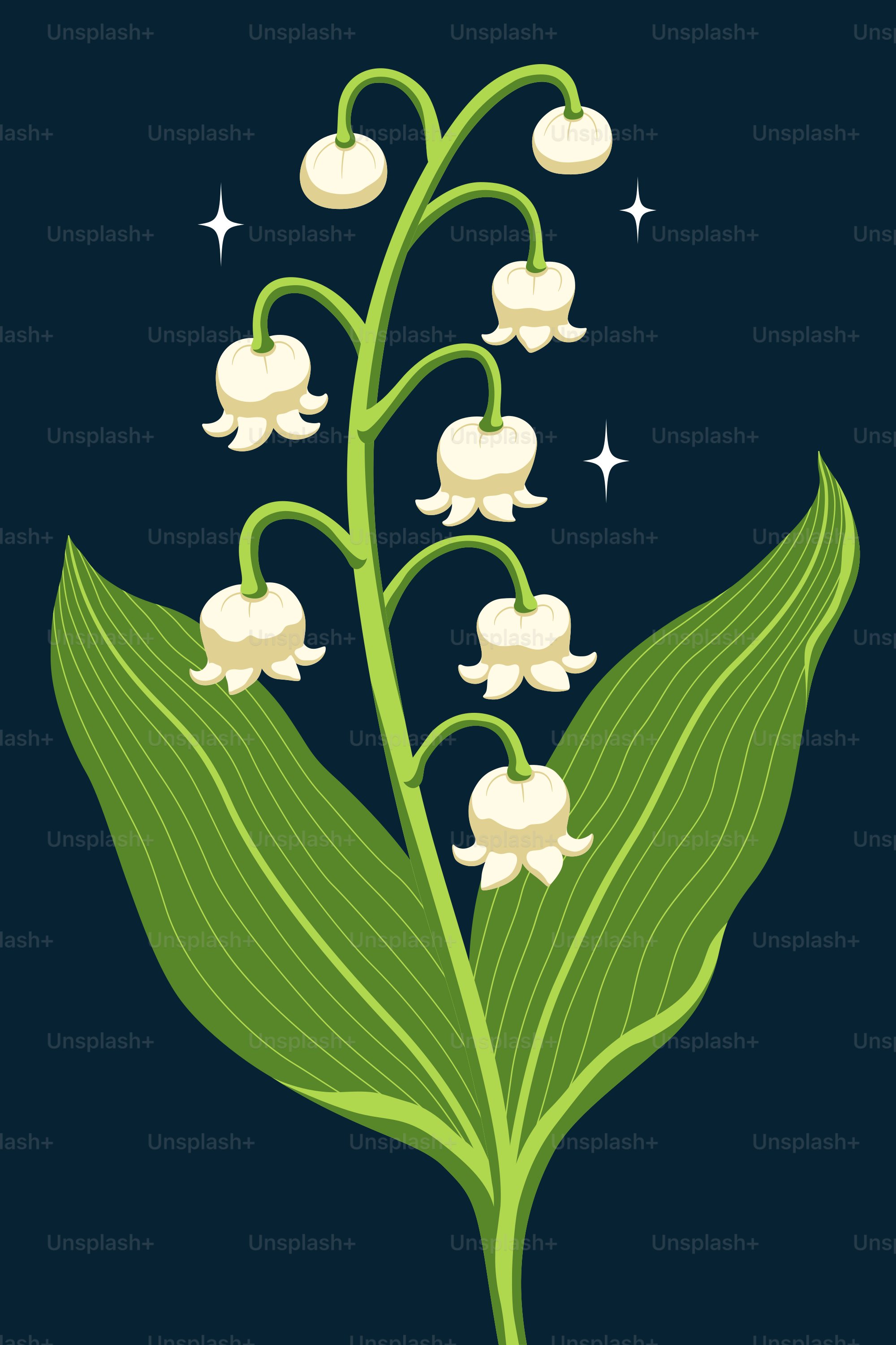 a plant with white flowers and green leaves