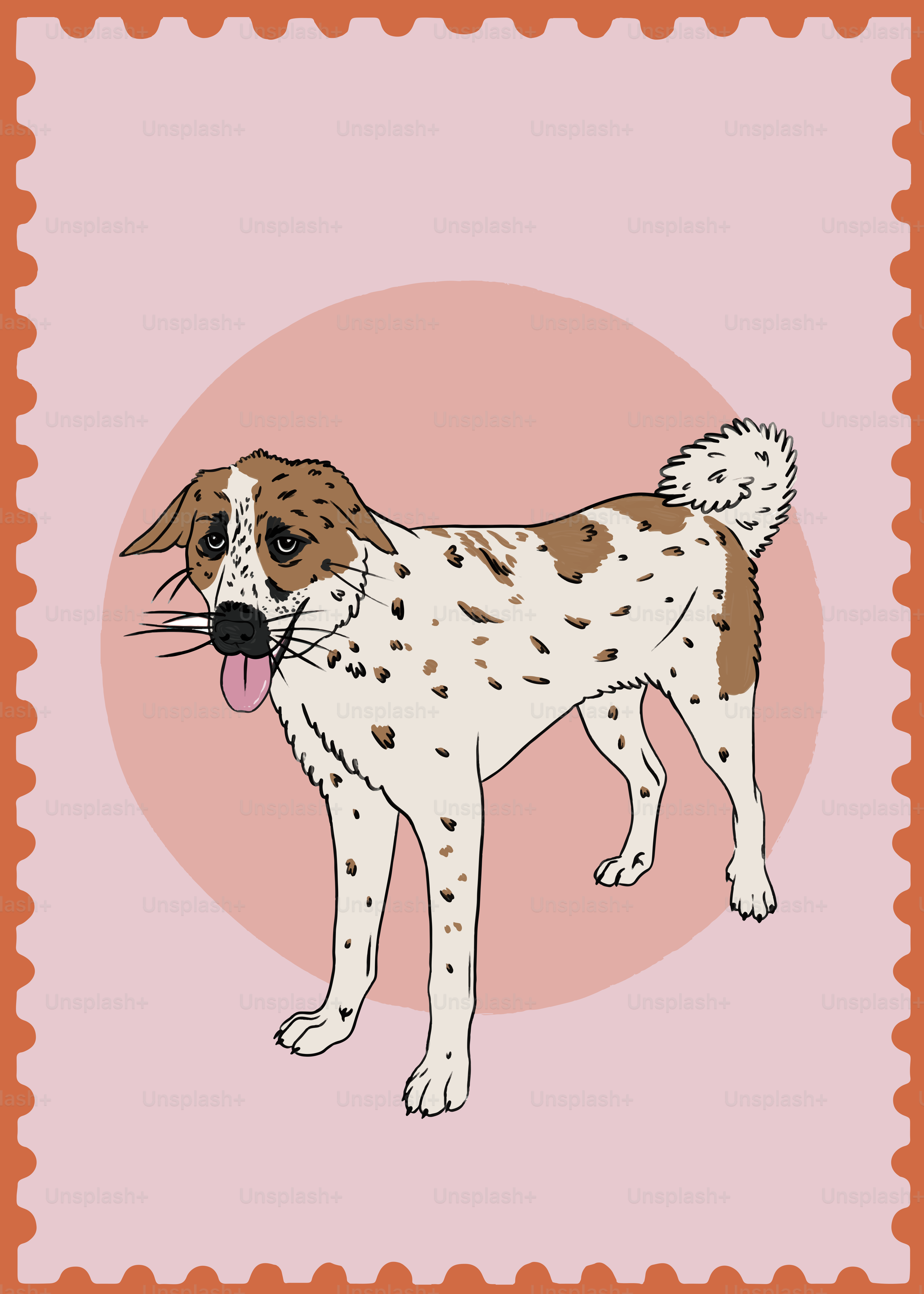 a brown and white dog standing in front of a pink background
