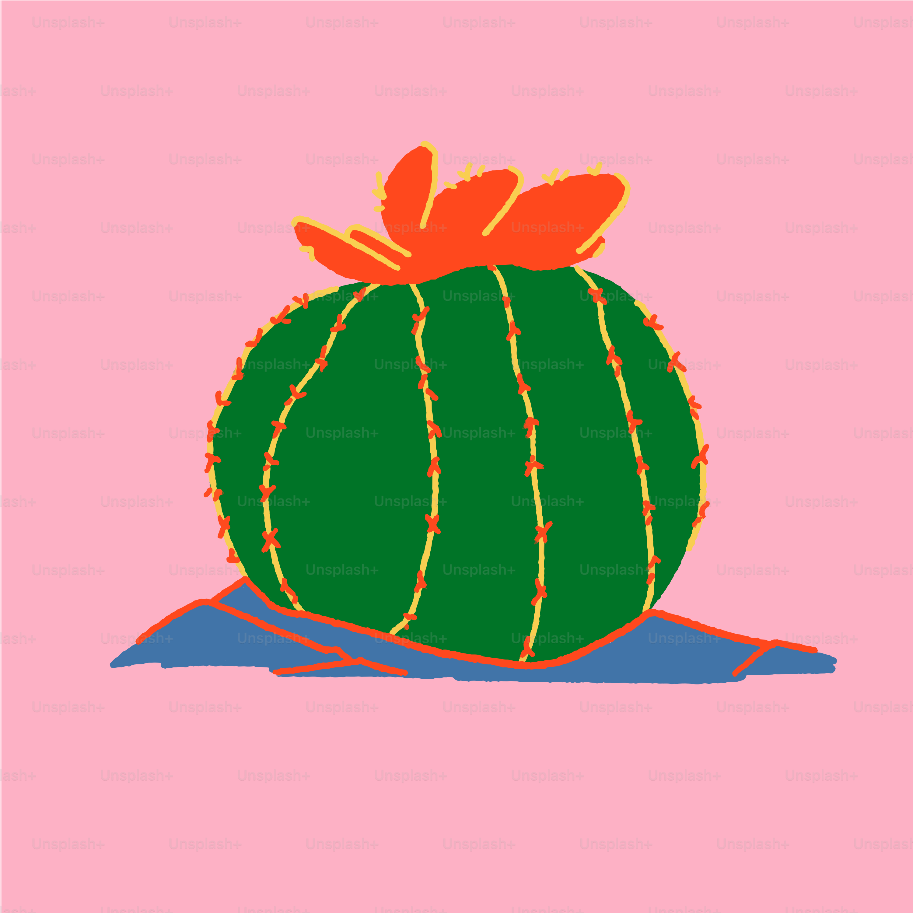 un cactus verde su sfondo rosa