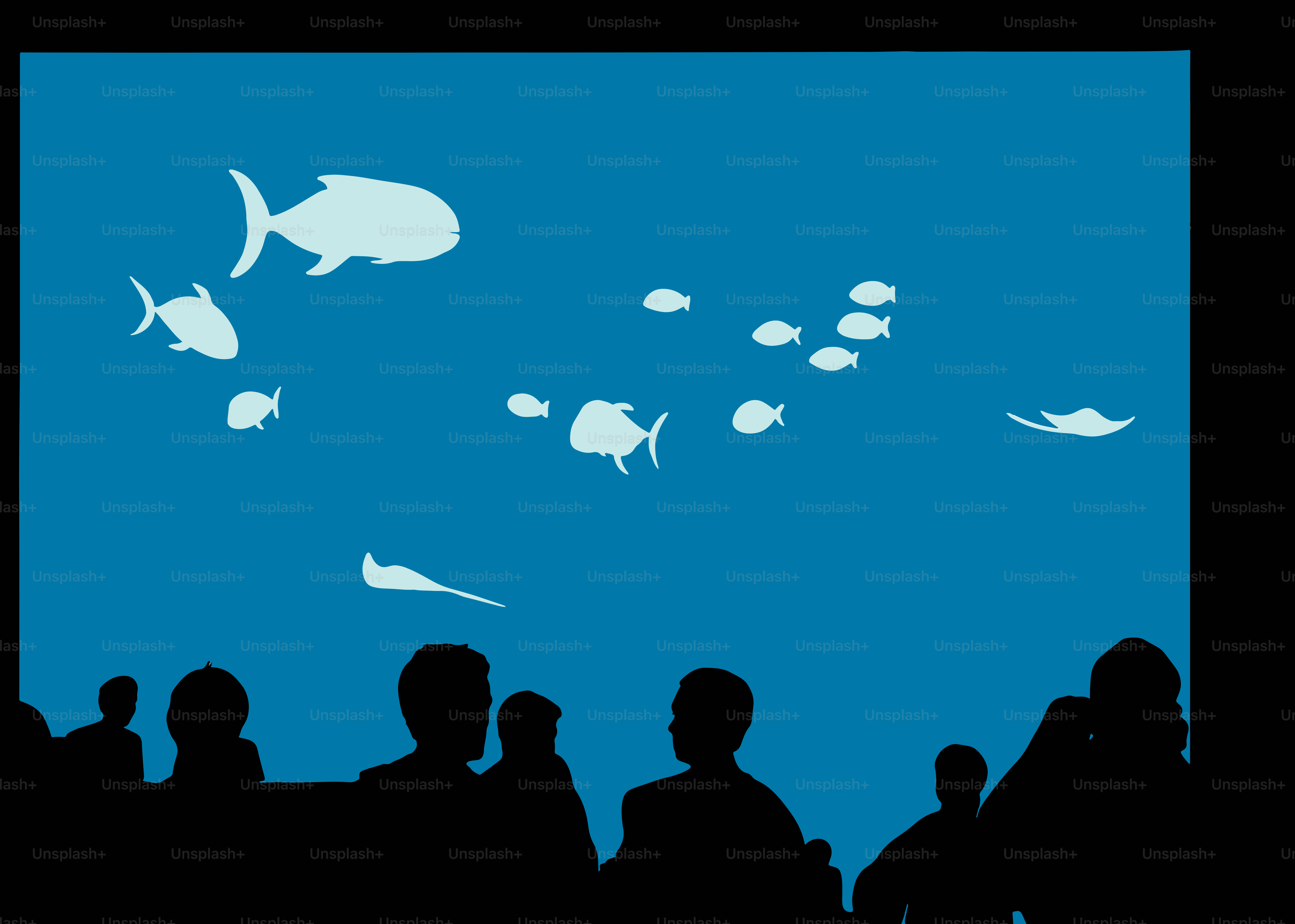 a group of people standing in front of a fish tank